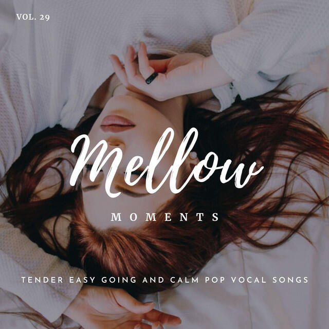 Релиз Mellow Moments - Tender Easy Going And Calm Pop Vocal Songs, Vol. 29