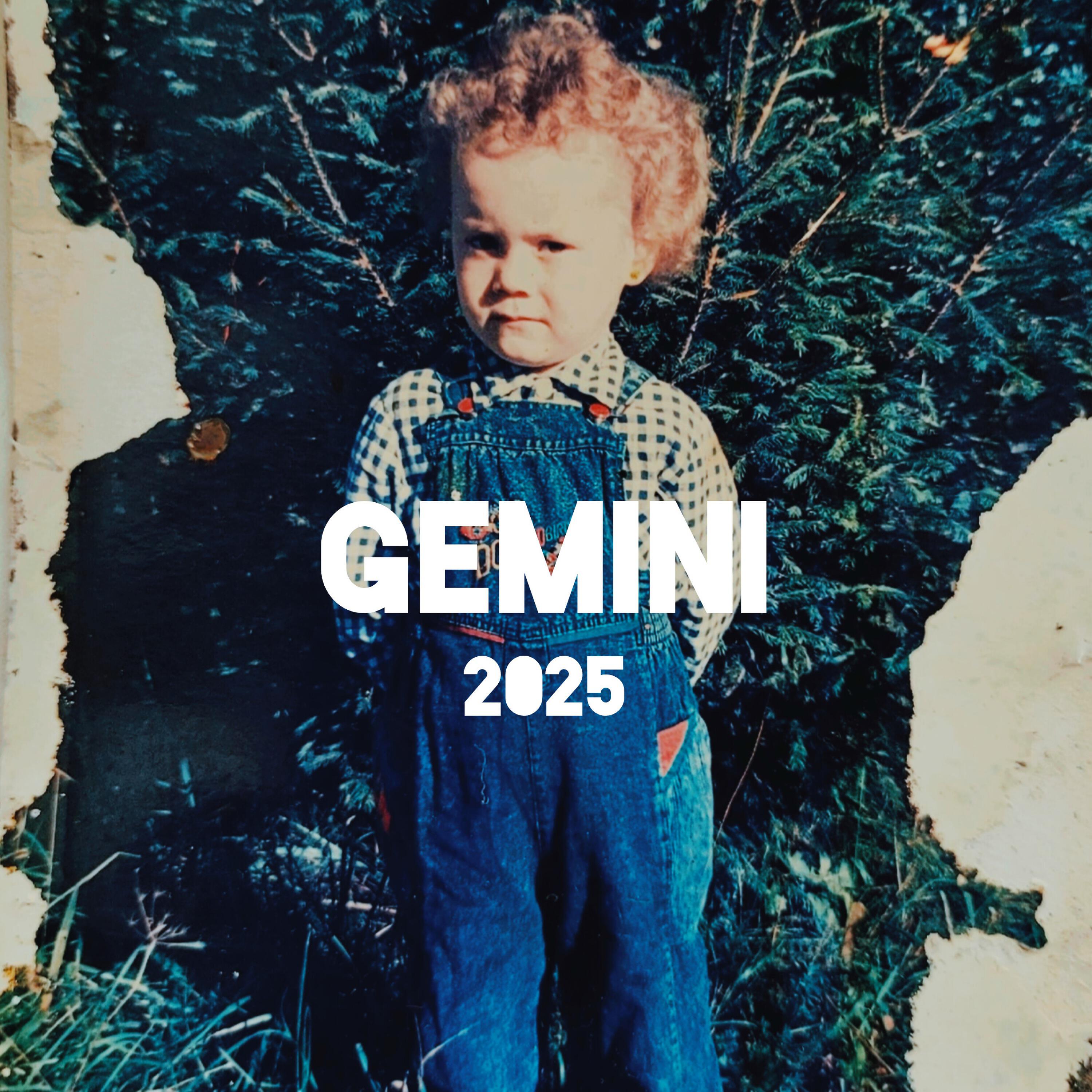 Постер альбома GEMINI