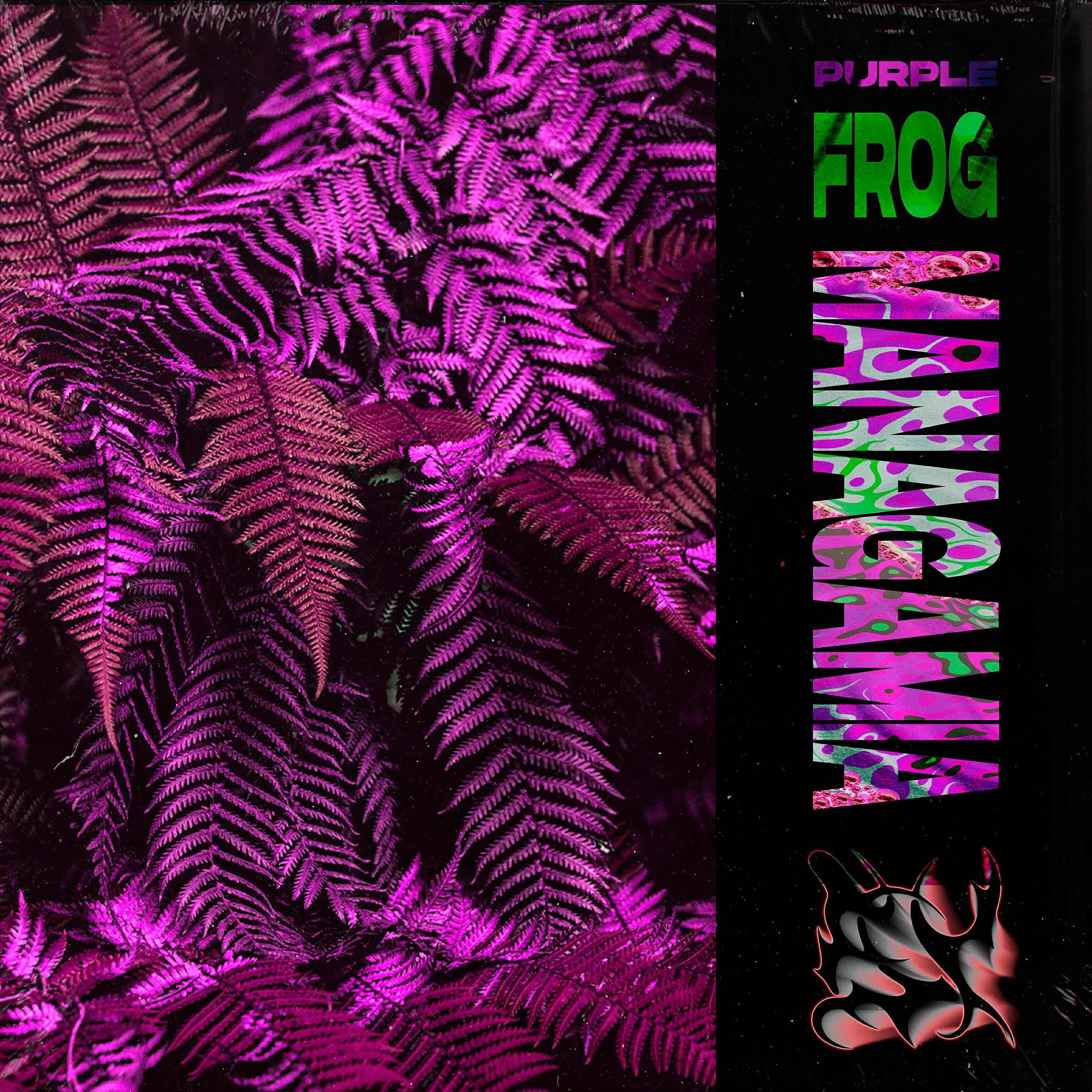 purple frog