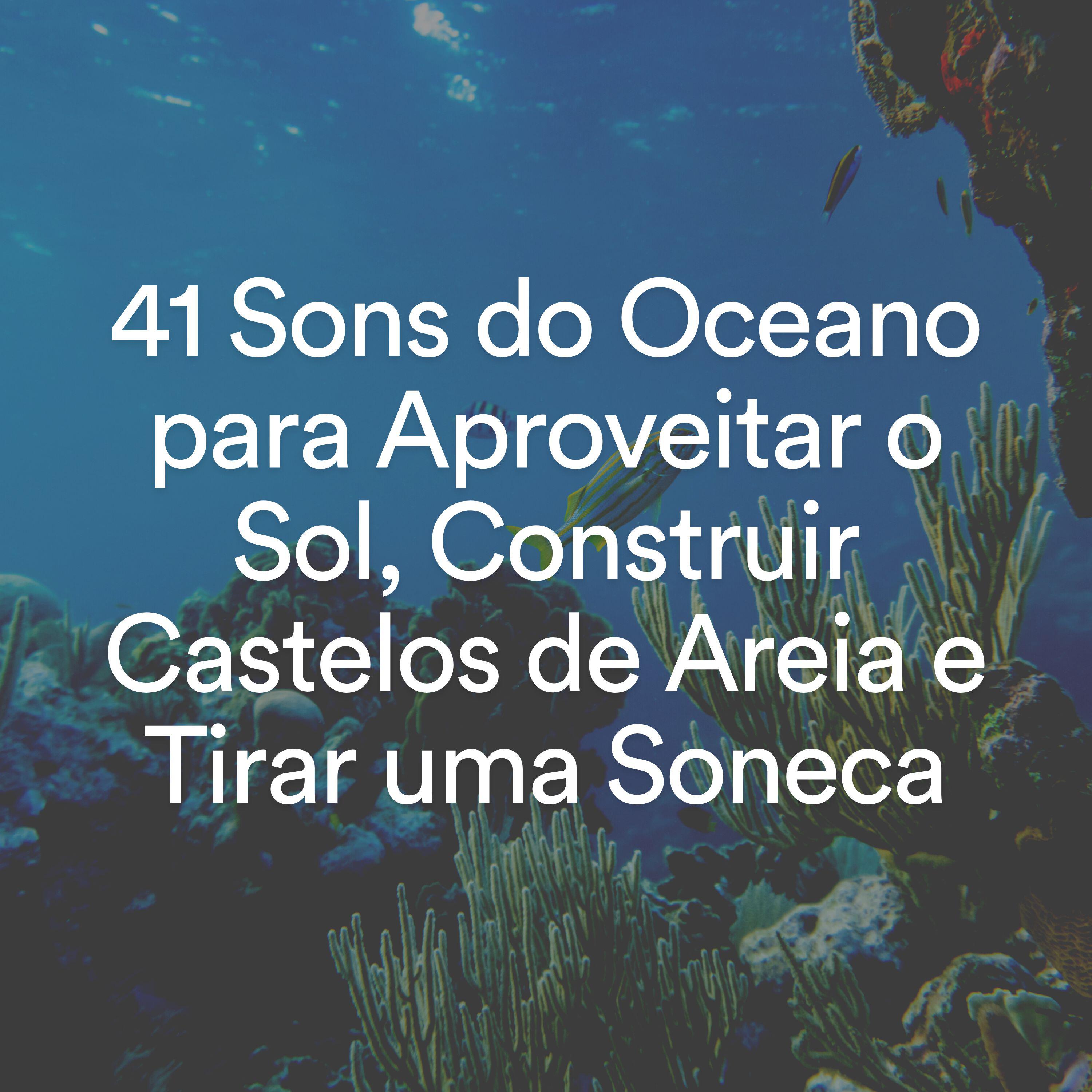 Релиз 41 Sons do Oceano para Aproveitar o Sol, Construir Castelos de Areia e Tirar uma Soneca