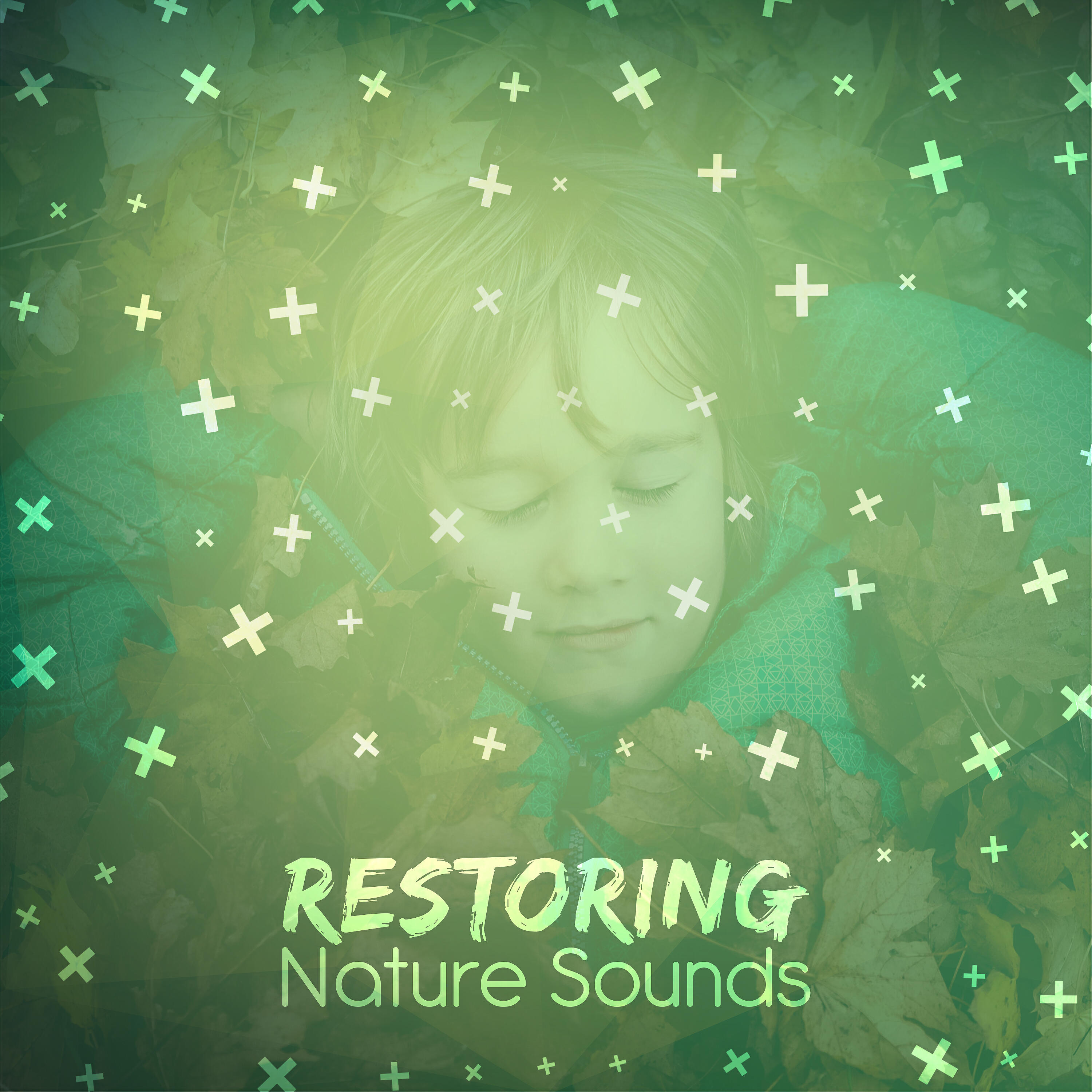 Релиз Restoring Nature Sounds