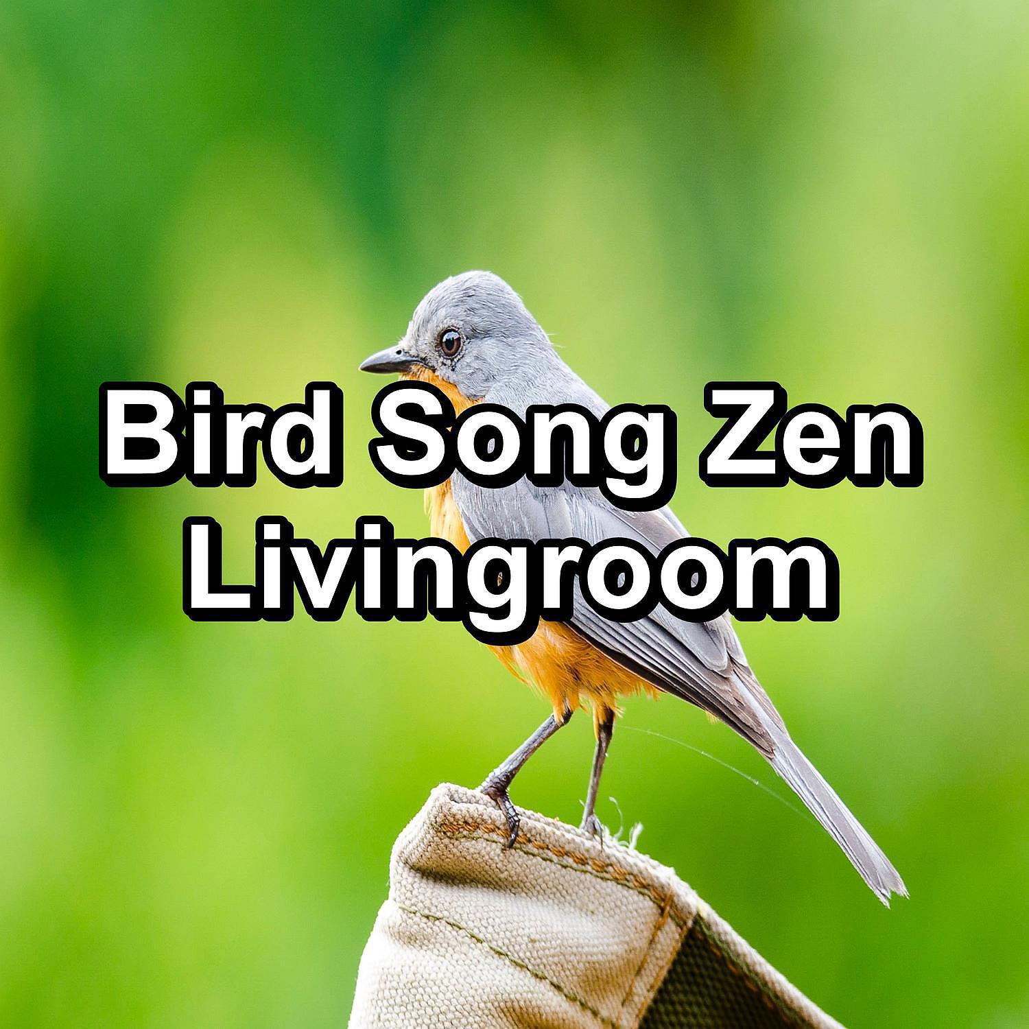 Релиз Bird Song Zen Livingroom