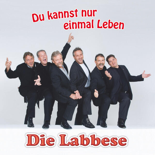 Релиз Du kannst nur einmal leben