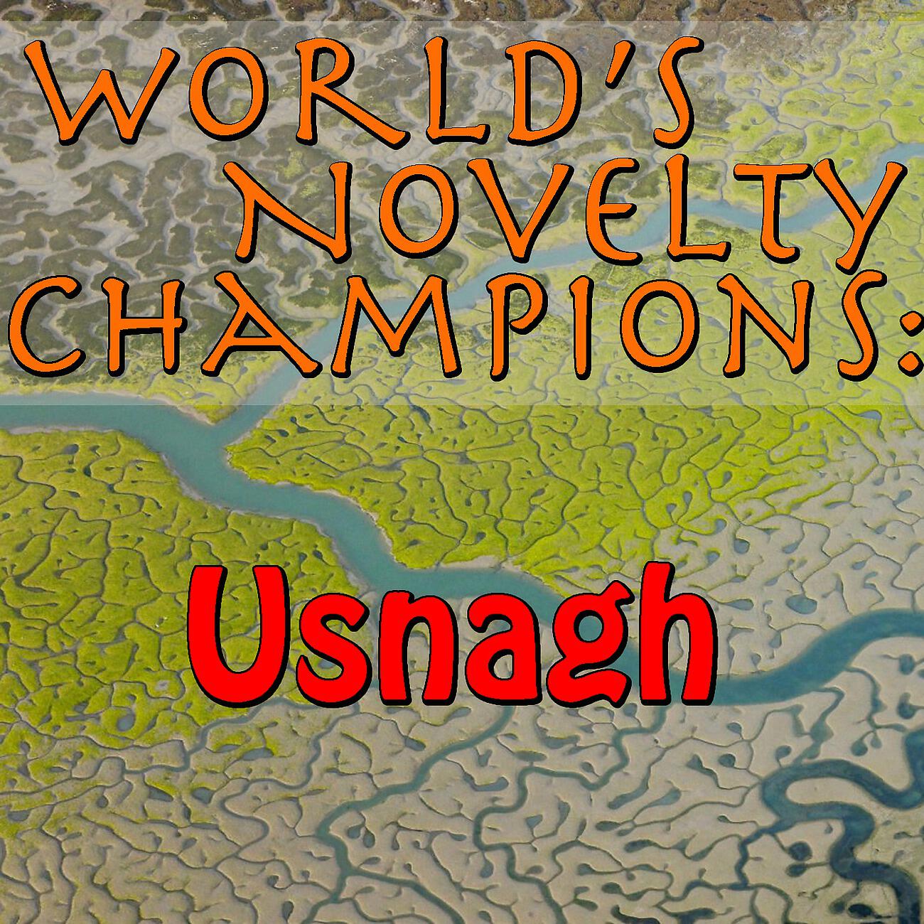 Usnagh