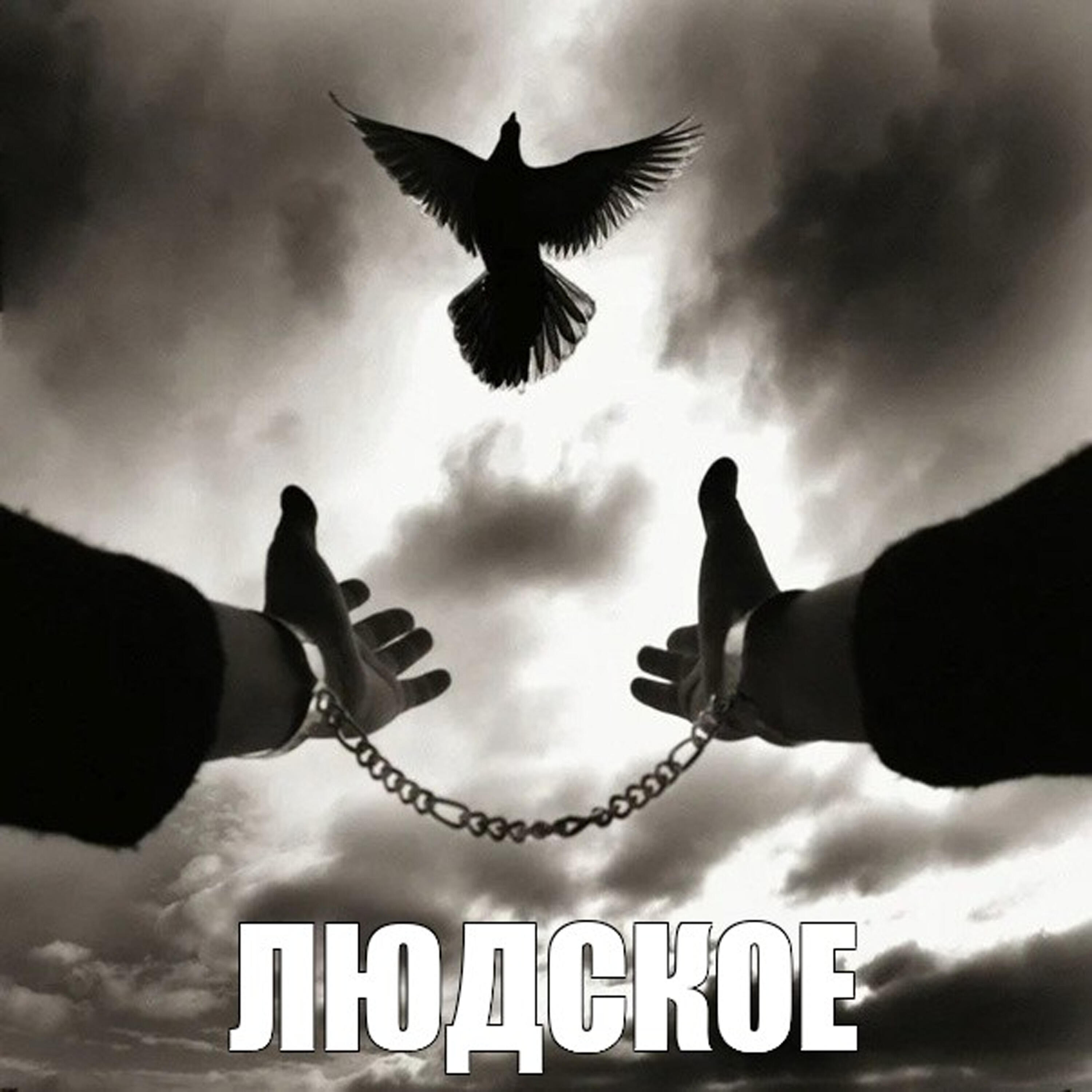 Релиз Людское