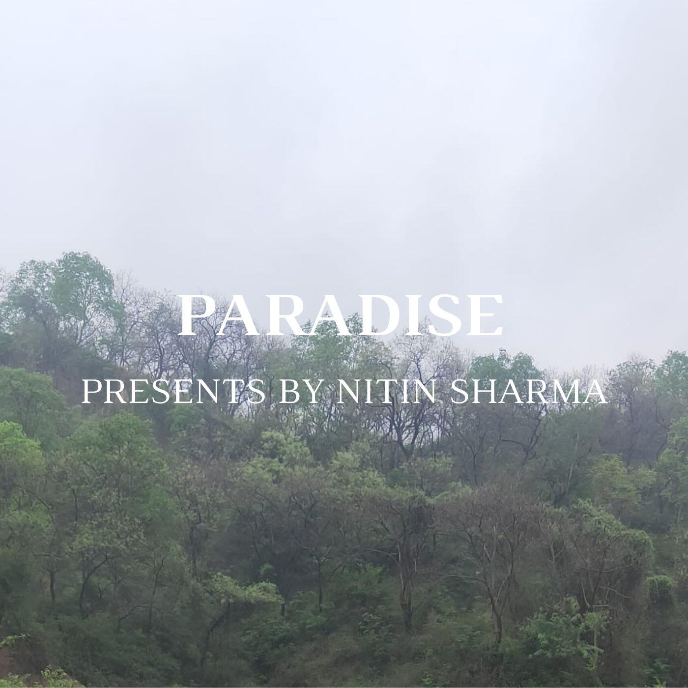 Релиз Paradise