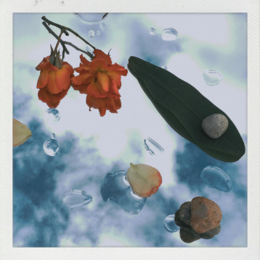 Релиз Flow Someday