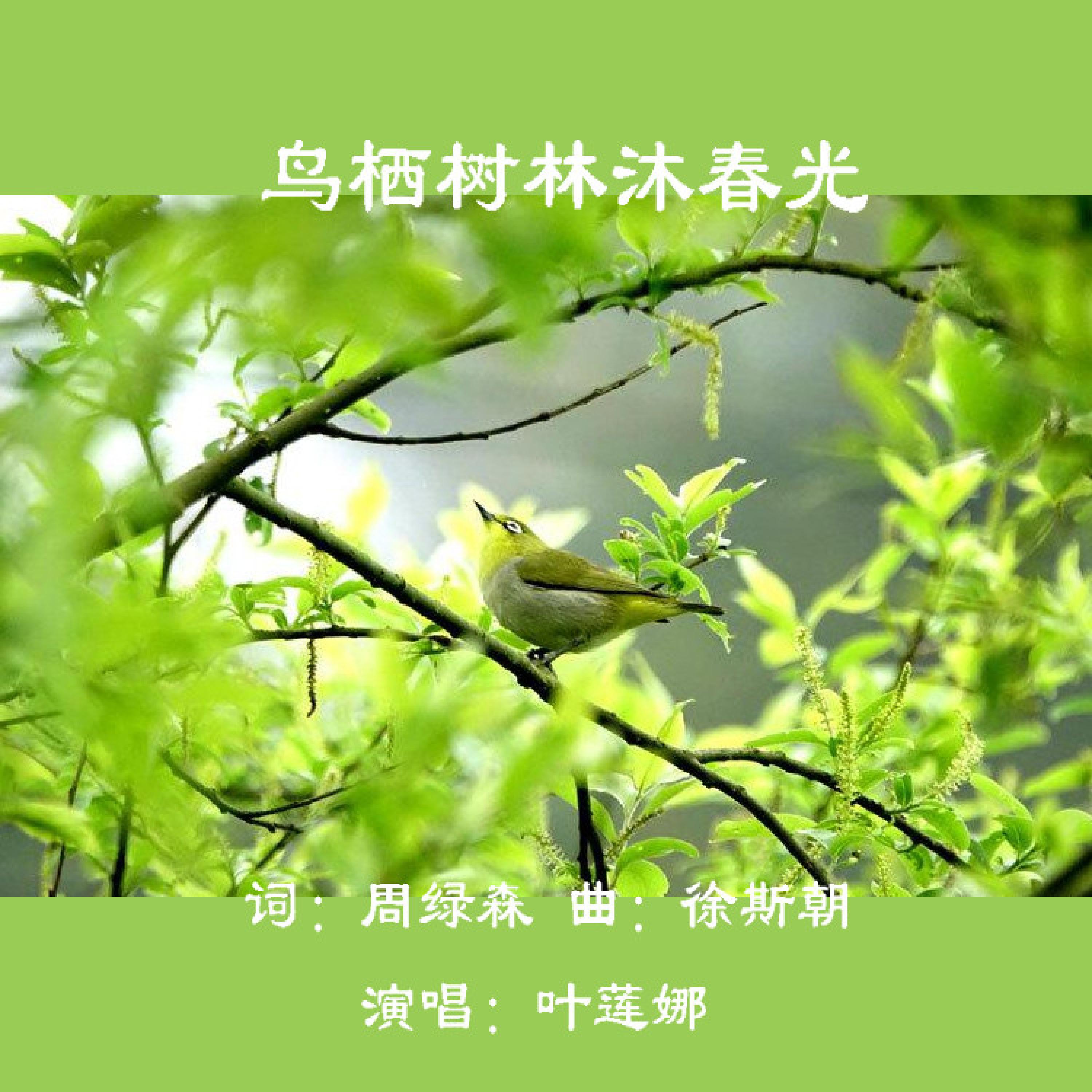 Релиз 轻轻吹过春天的风