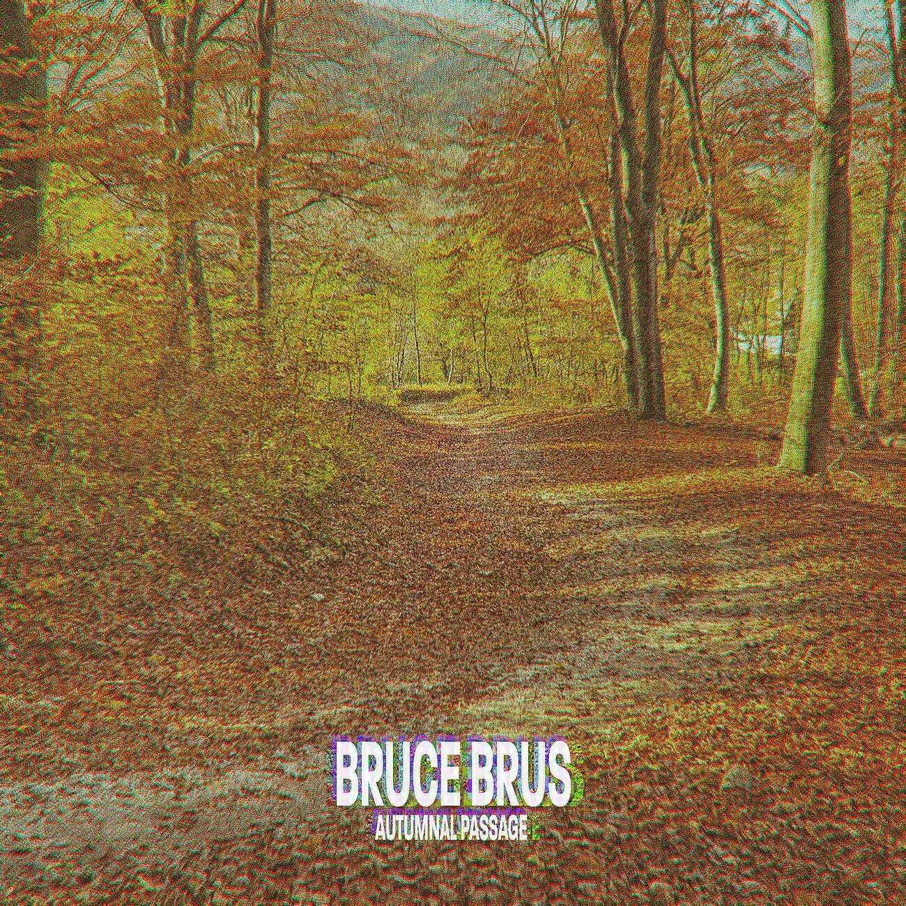 Bruce Brus