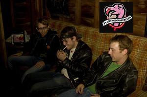Flamingo Nosebleed