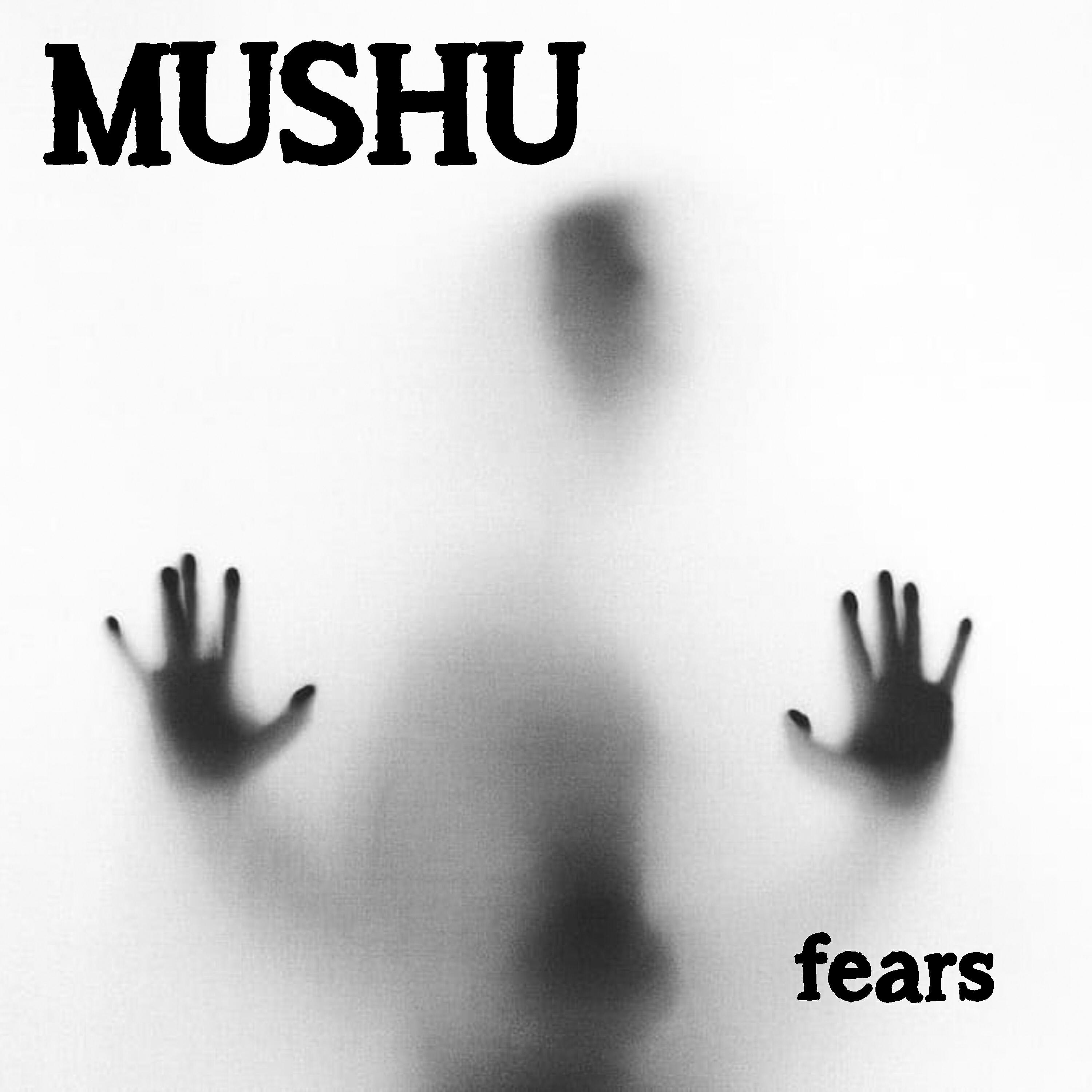 Релиз Fears