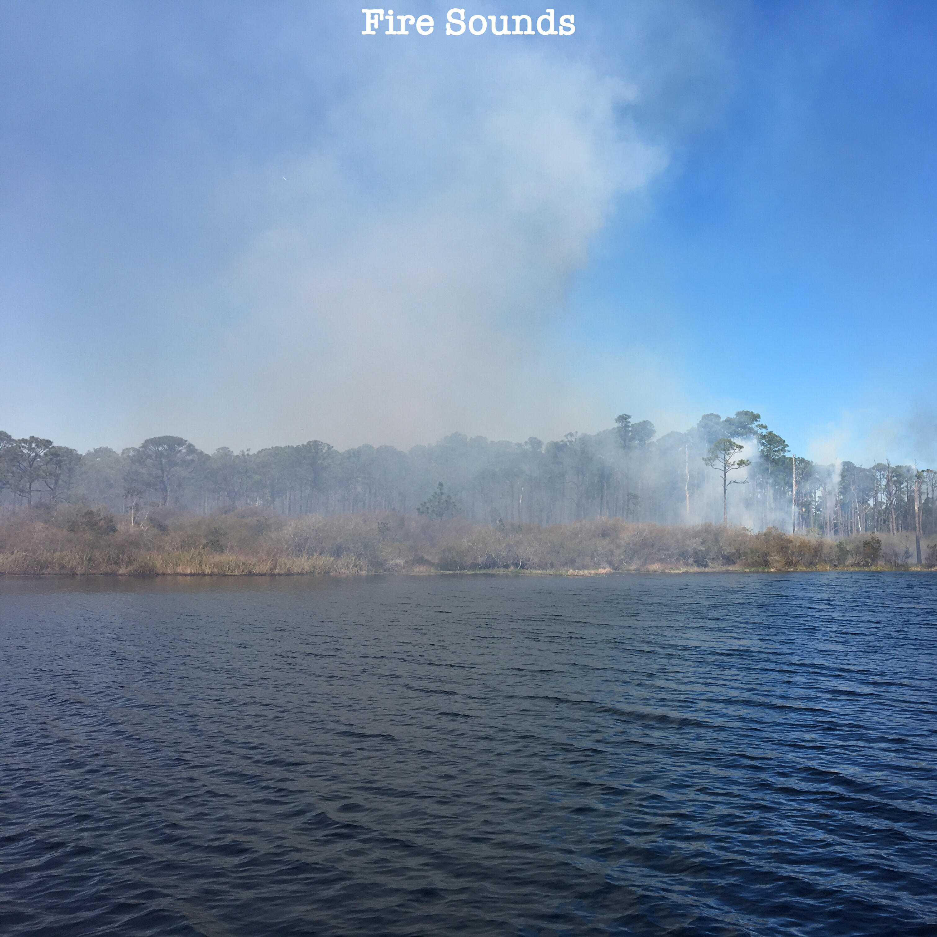 Релиз Forest Fire Crackling in Wind