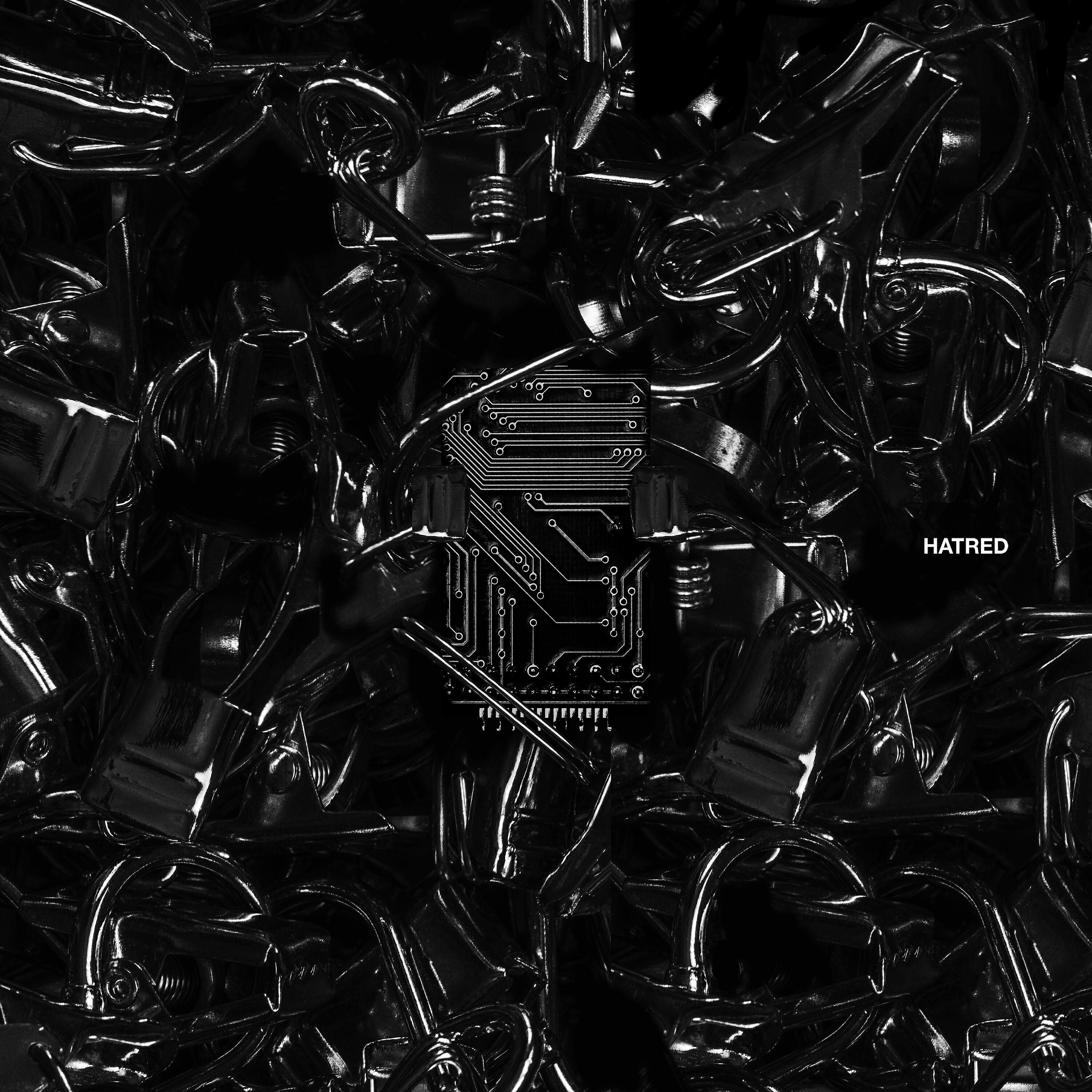 Постер альбома Hatred (feat. E11E)