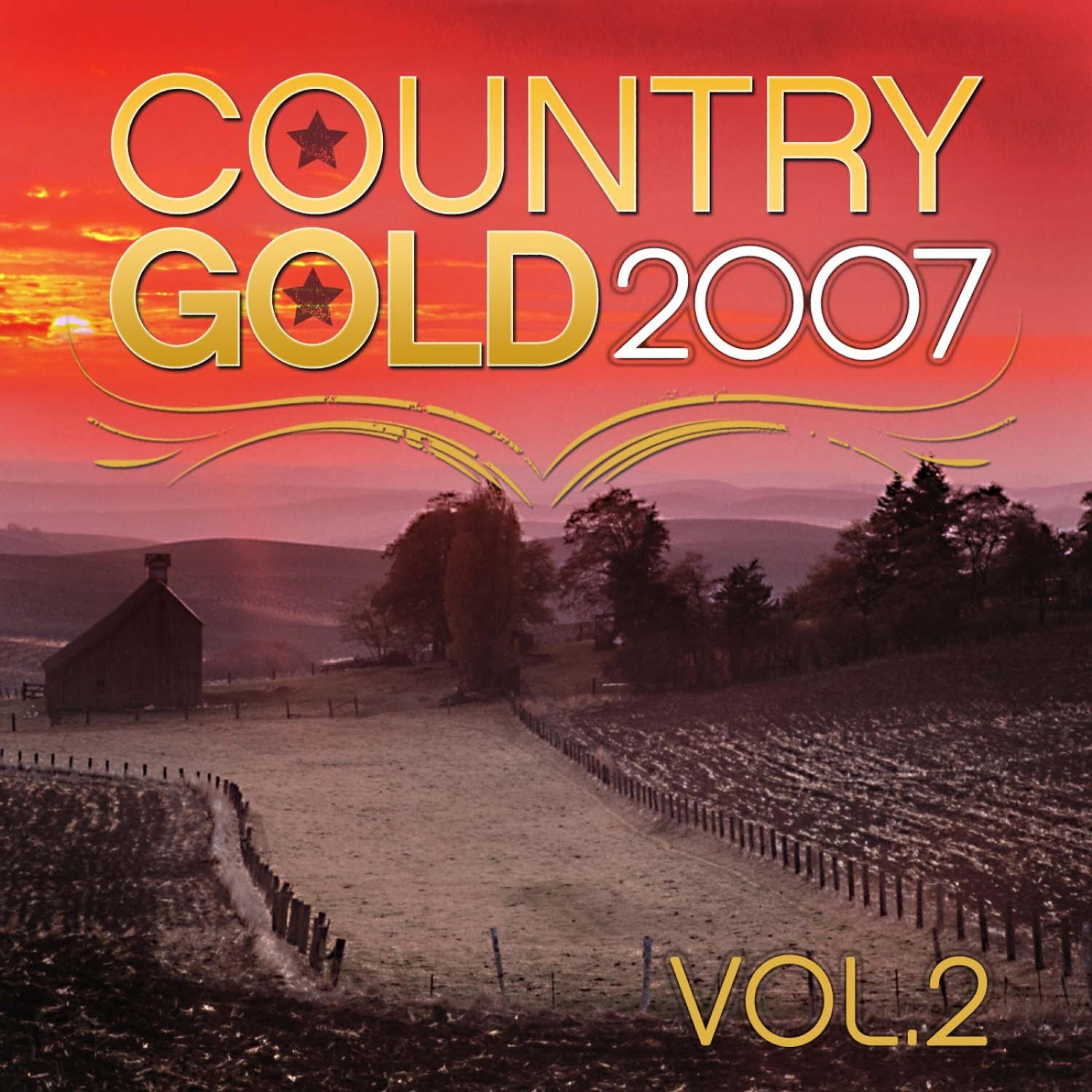 Релиз Country Gold 2007 Vol.2
