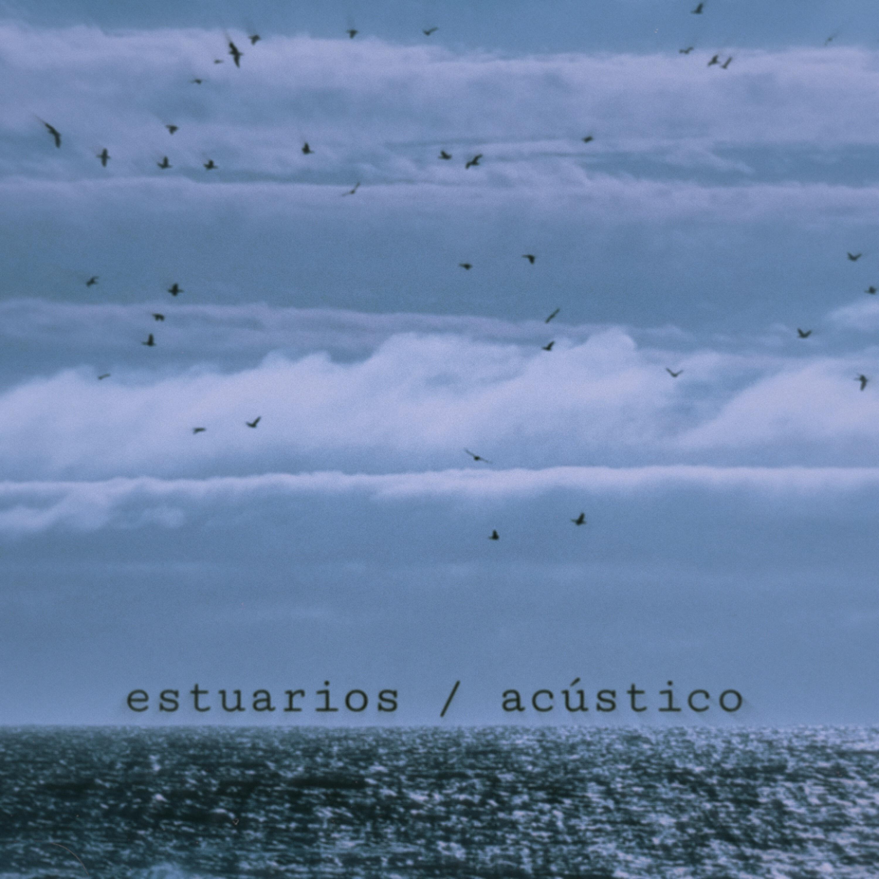 Постер альбома Estuarios (Acústico)