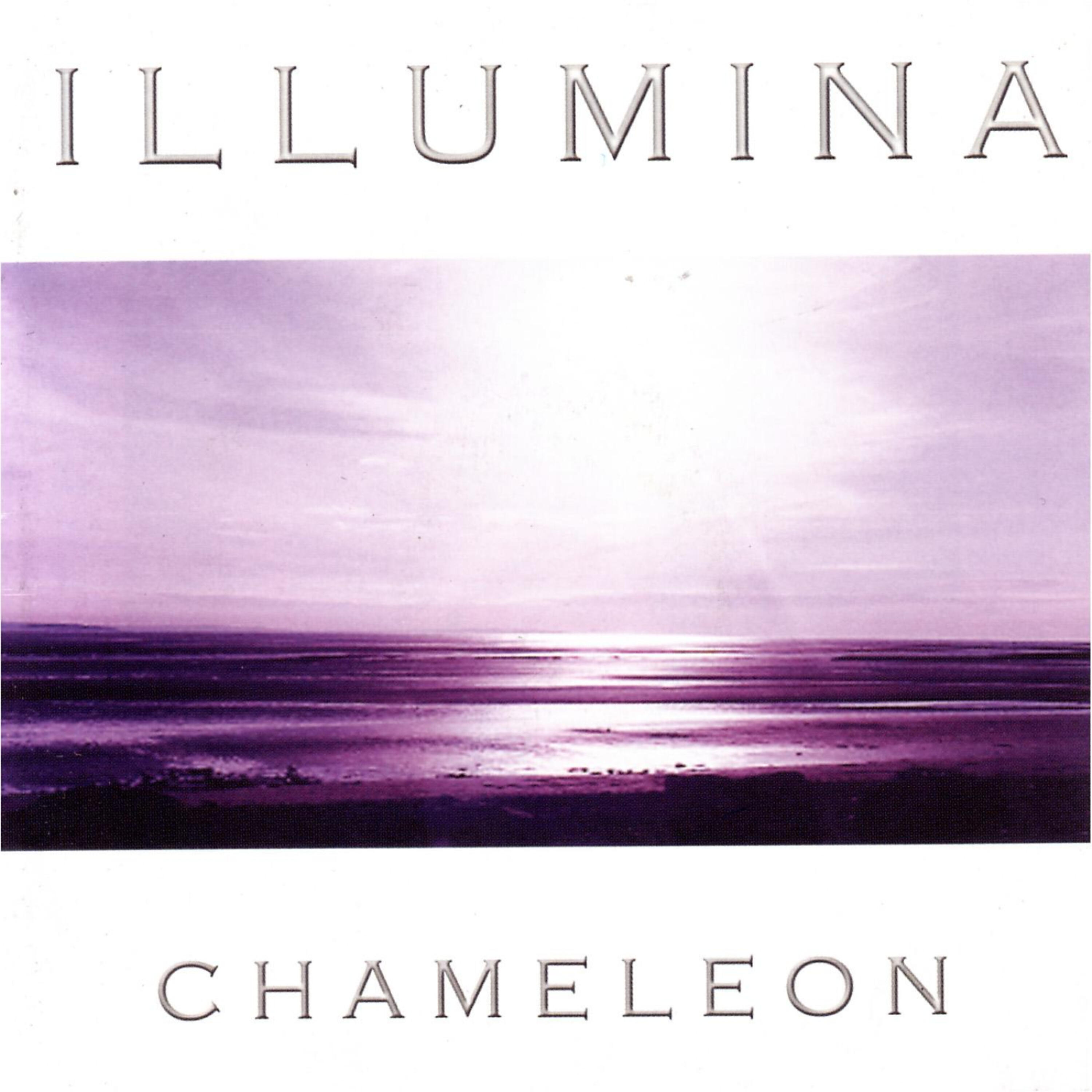 Релиз Chameleon