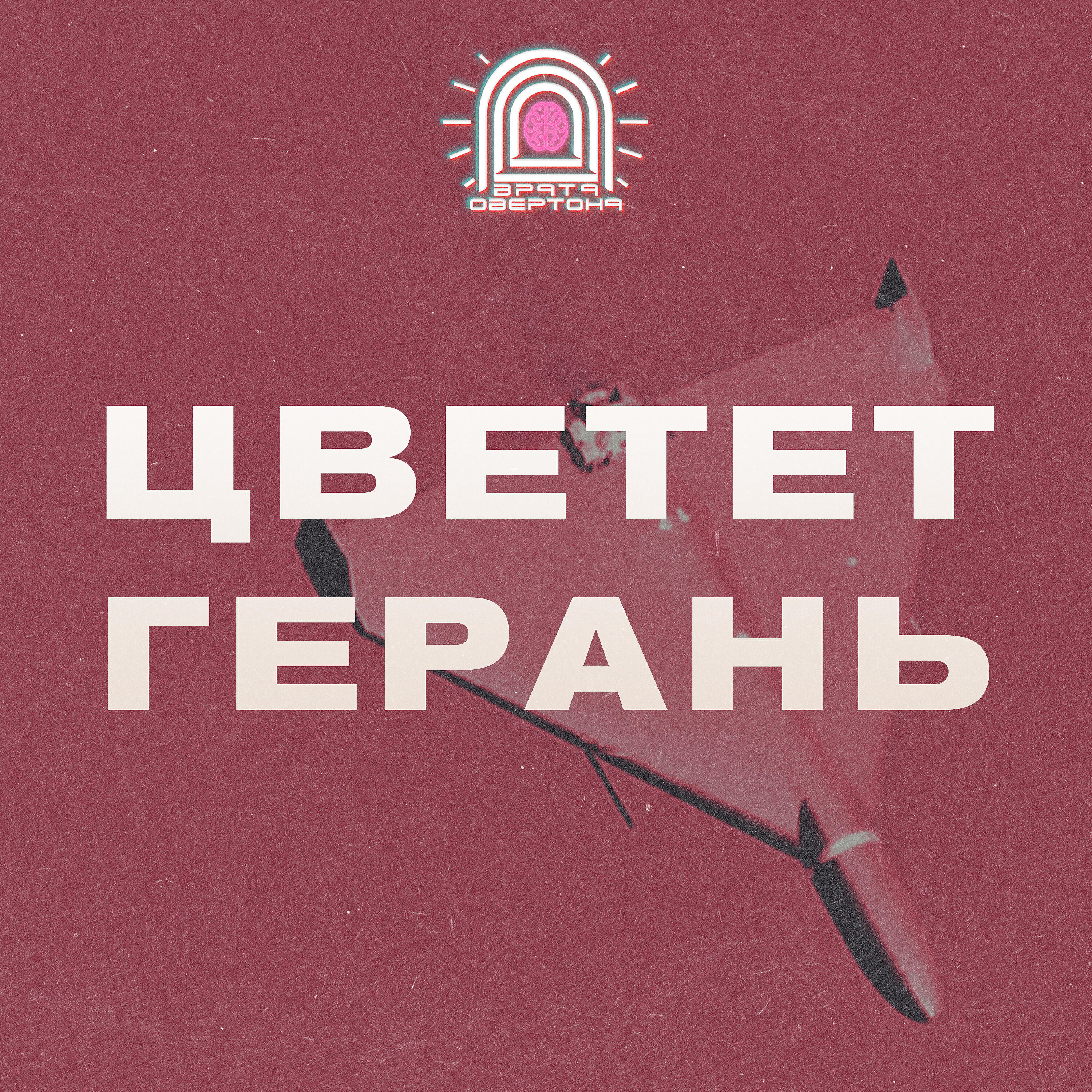 Релиз Цветет герань