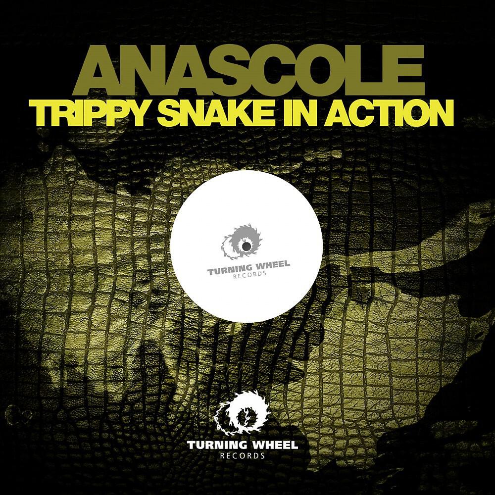 Релиз Trippy Snake in Action