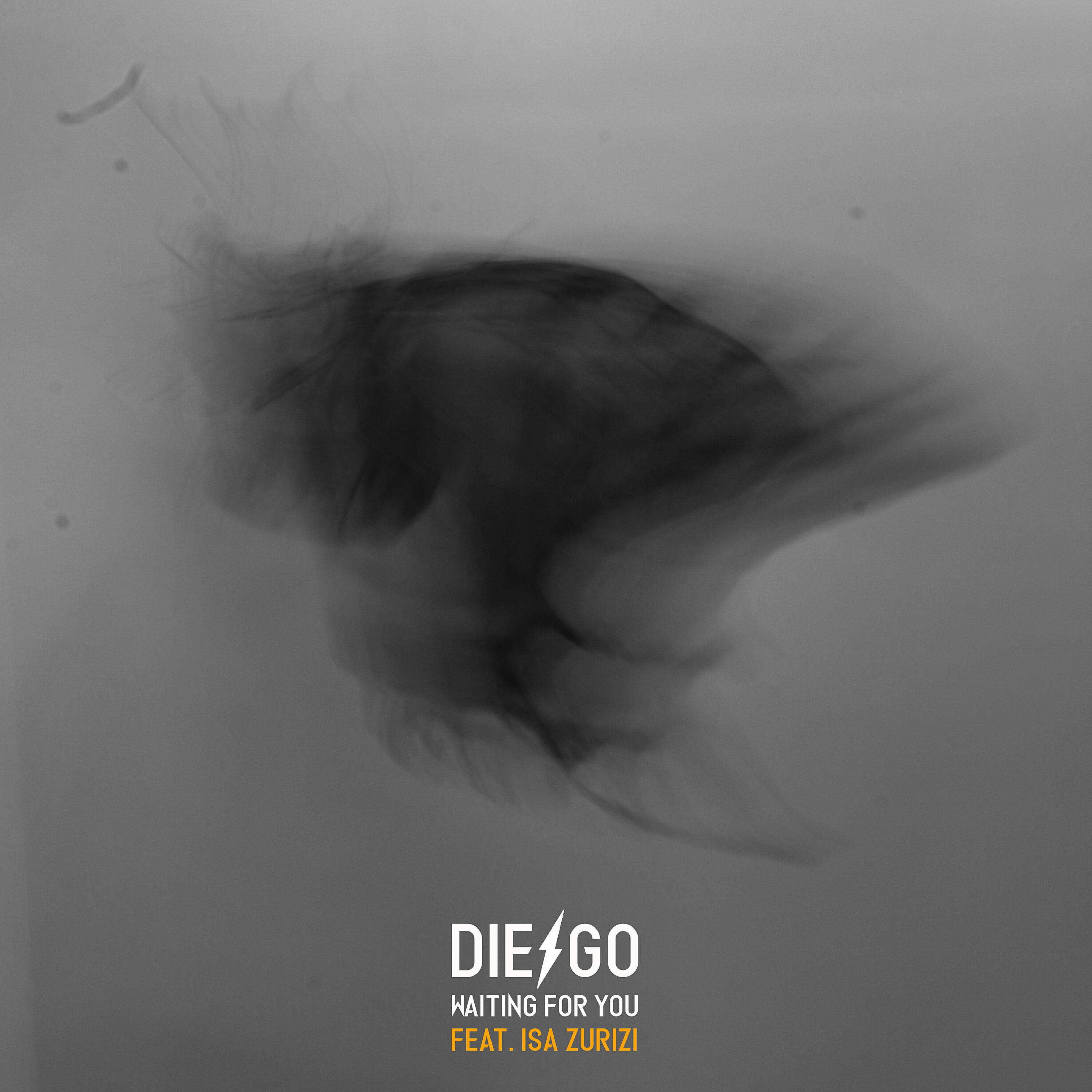 Die-Go