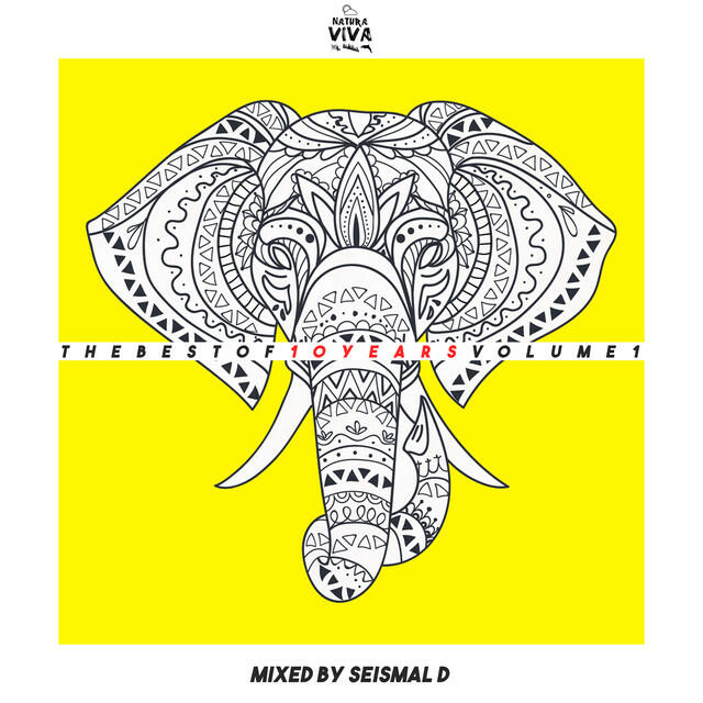 Релиз The Best of 10 Years Volume 1 (Mixed by Seismal D)