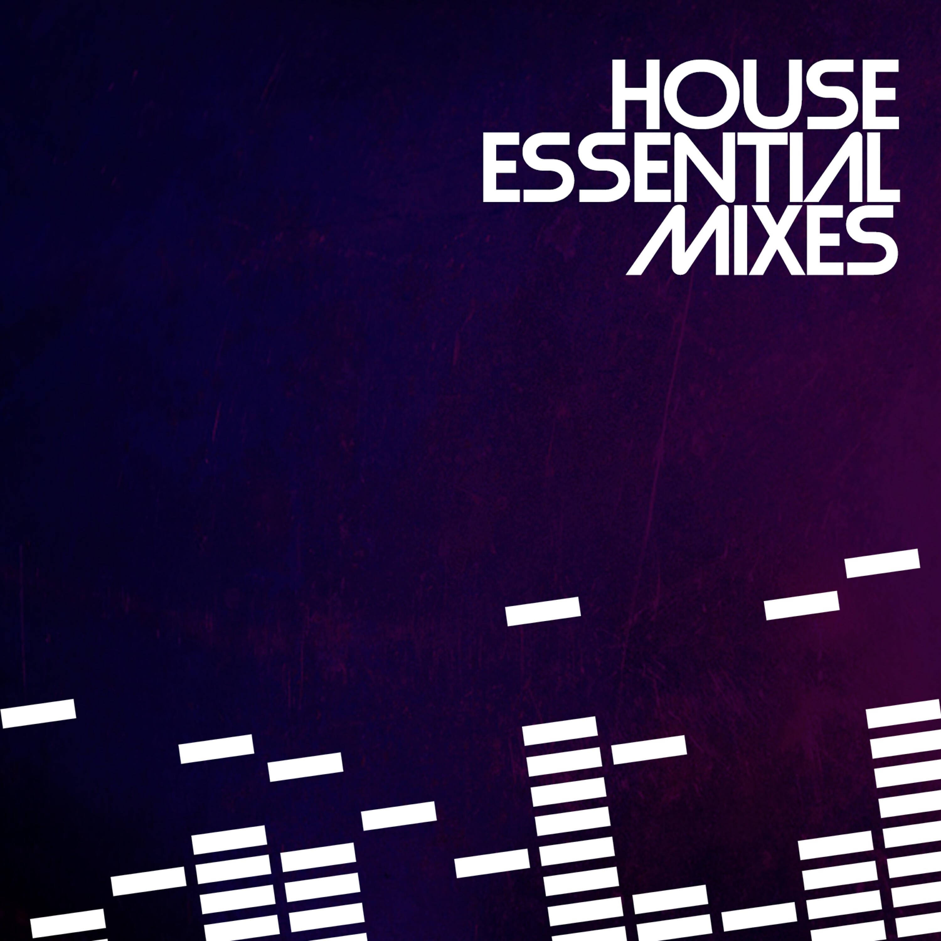 Релиз House Essential Mixes