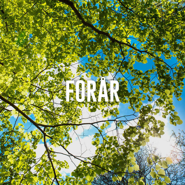 Волна по релизу