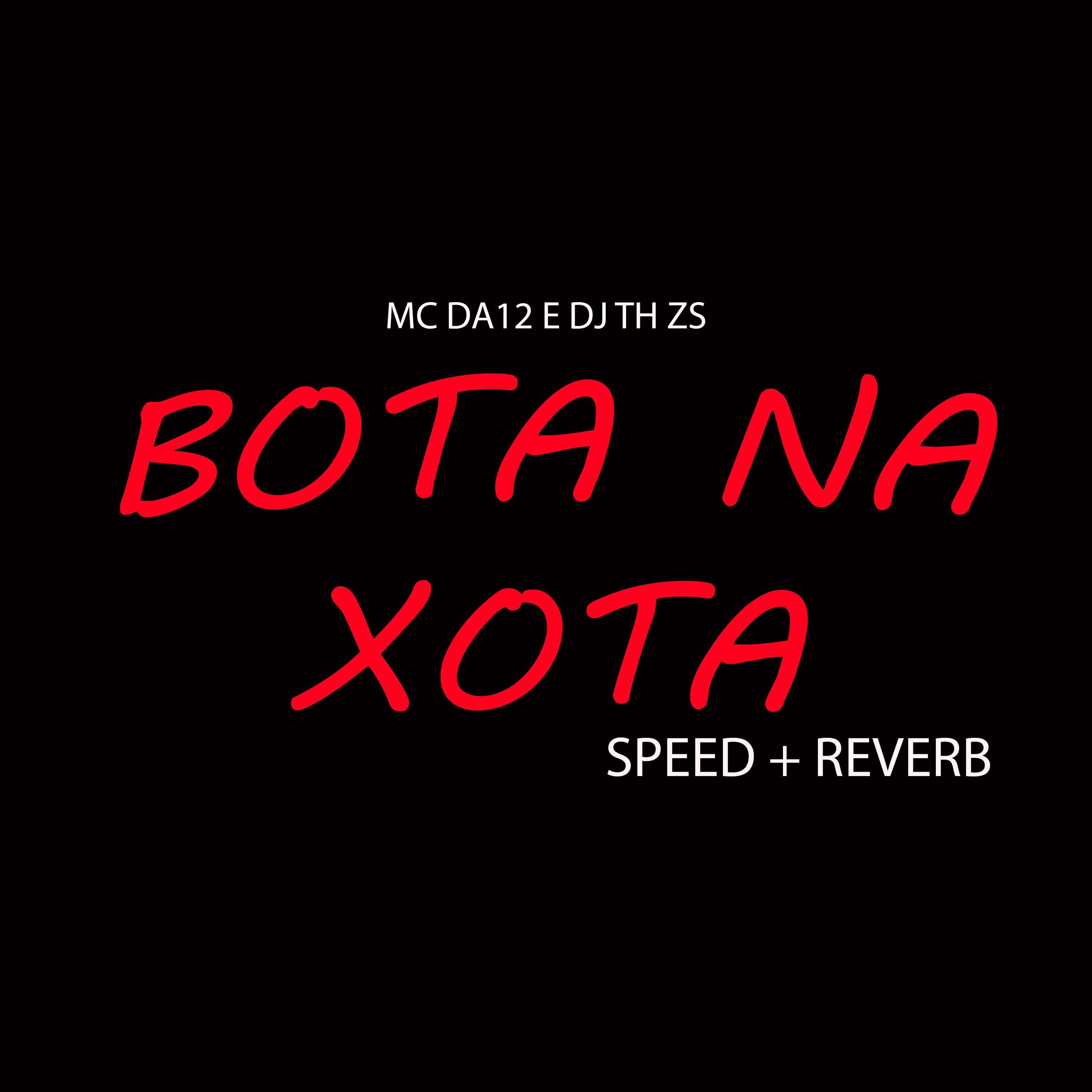 Скачать песню MC Da 12, DJ TH ZS - Bota na Xota Speed + Reverb бесплатно в MP3 для Android и iOS