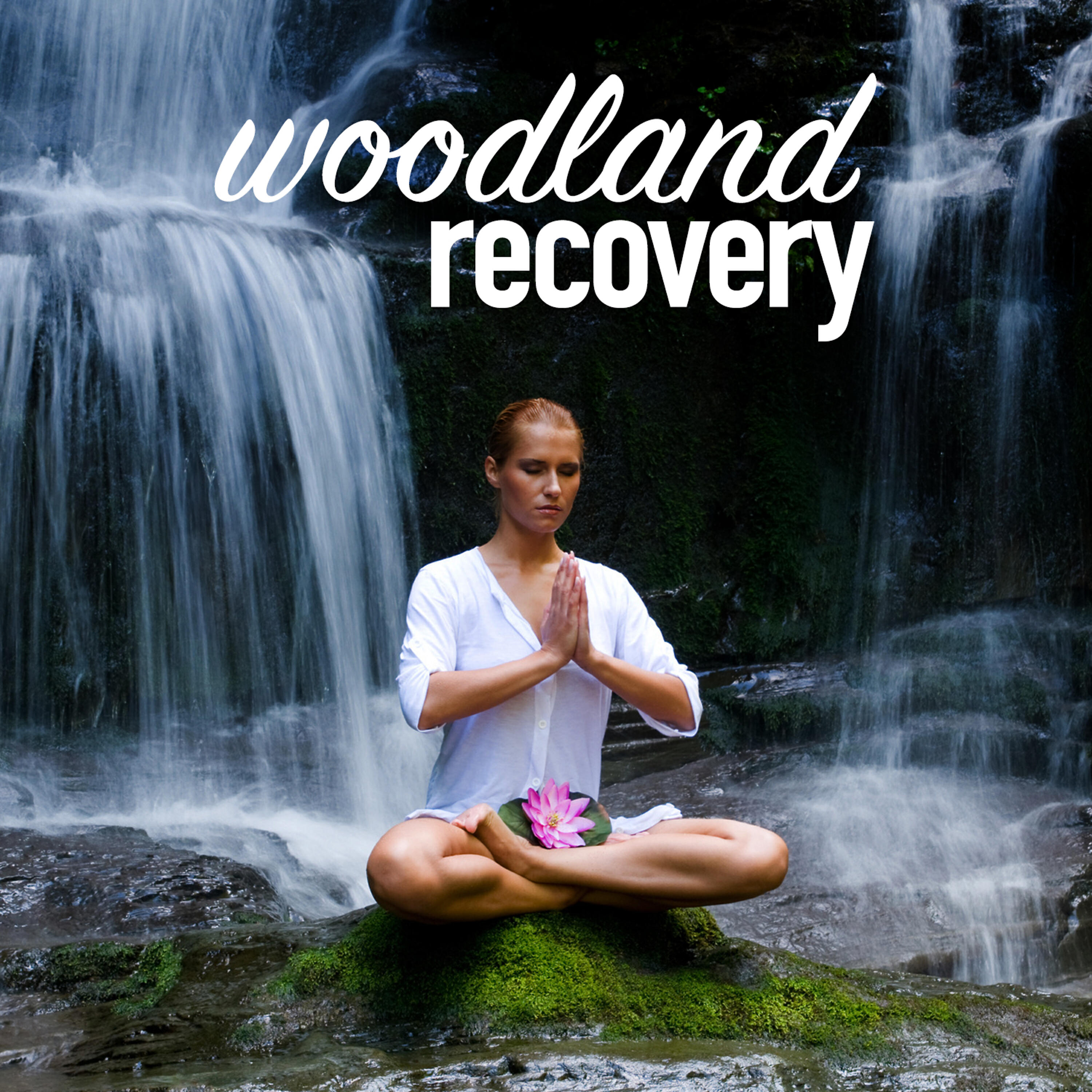Релиз Woodland Recovery
