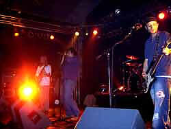 Kortex
