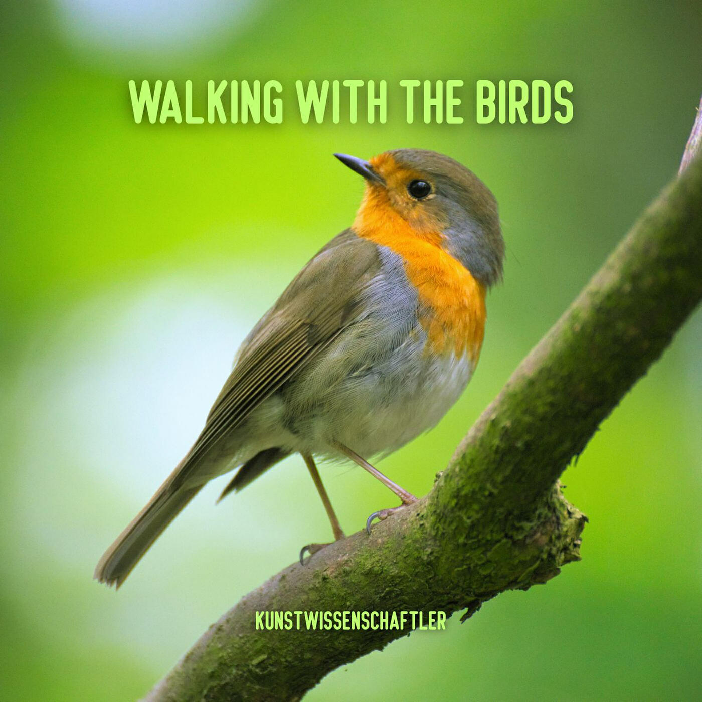 Постер альбома Walking with the Birds