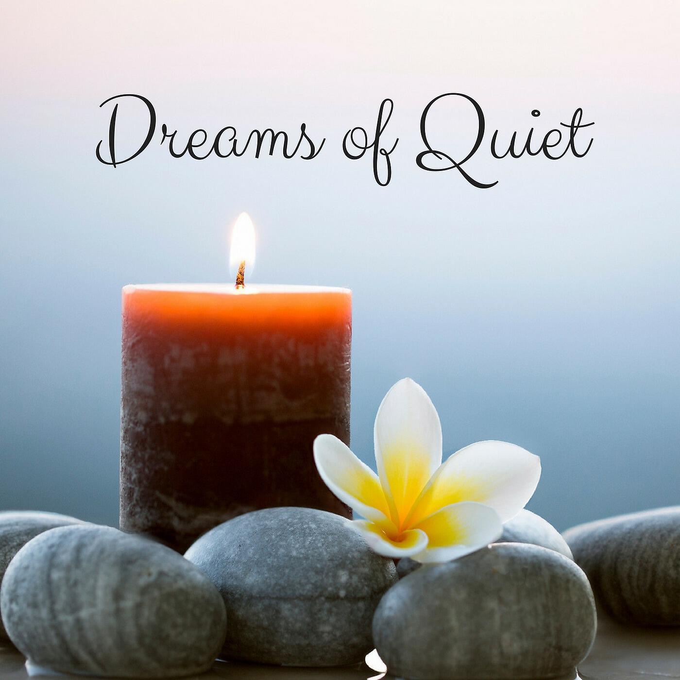 Релиз Dreams of Quiet