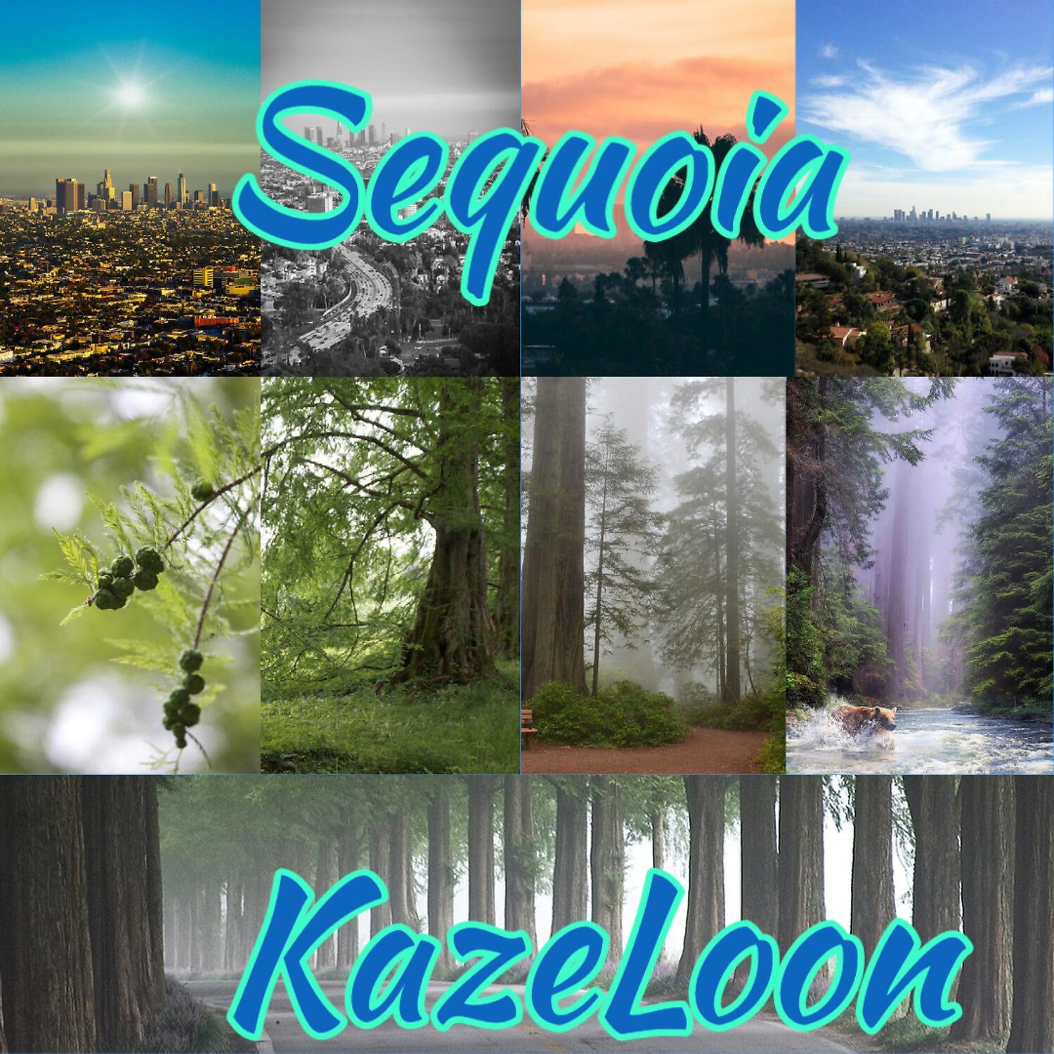 Релиз Sequoia