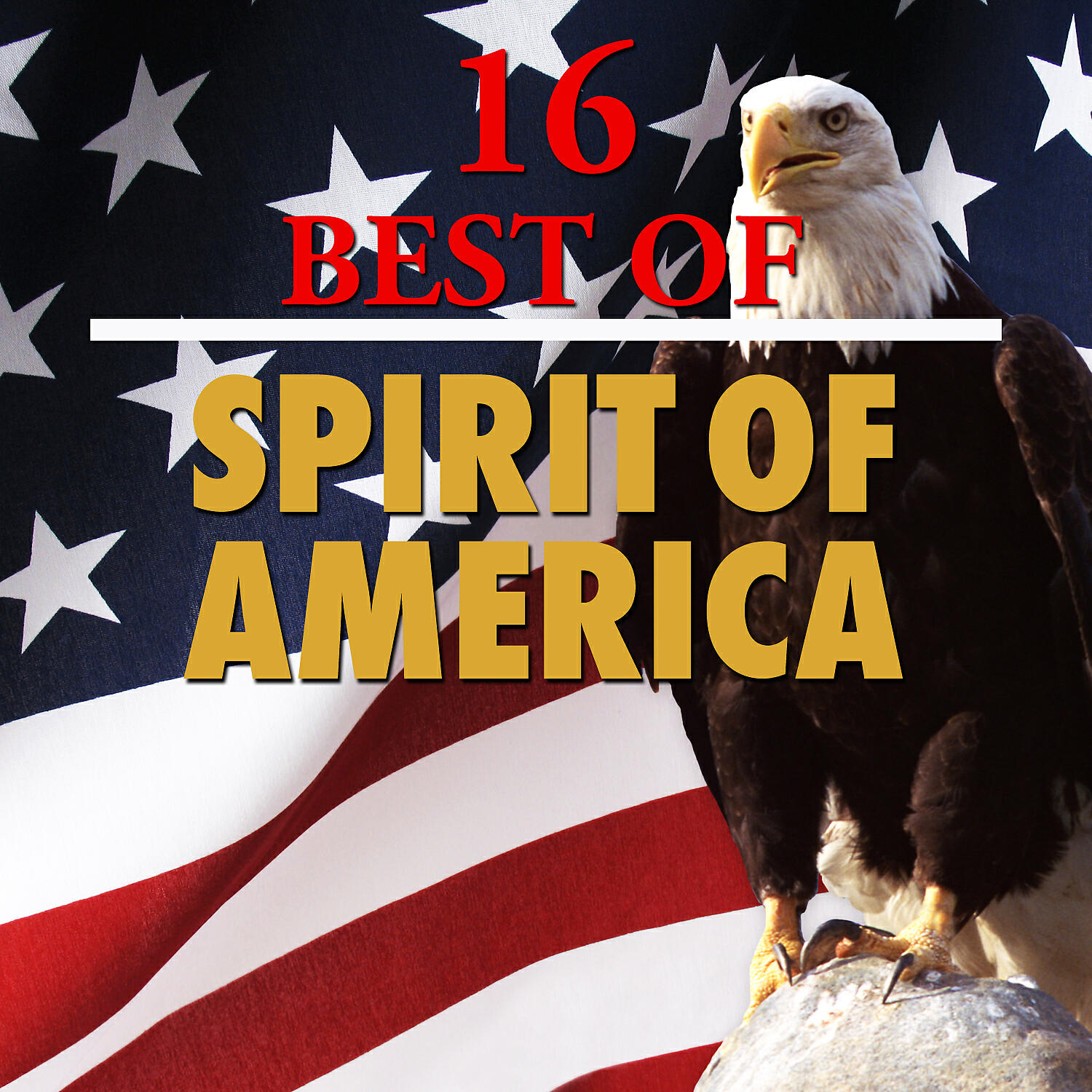 Релиз 16 Best Spirit of America
