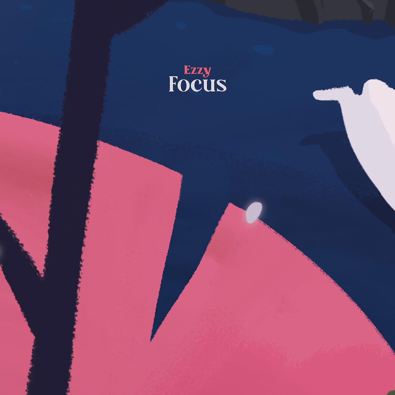 Релиз Focus