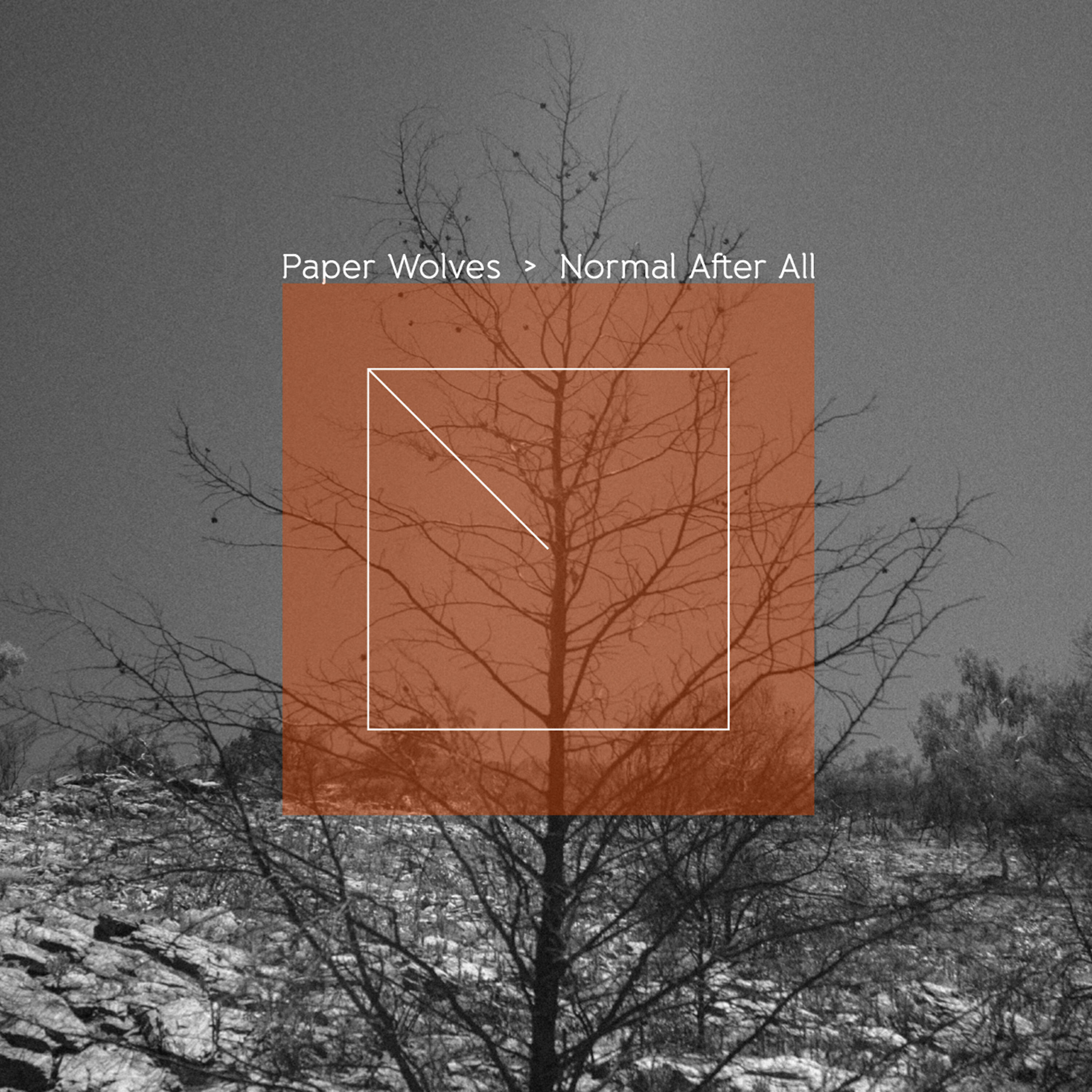 Релиз Normal After All