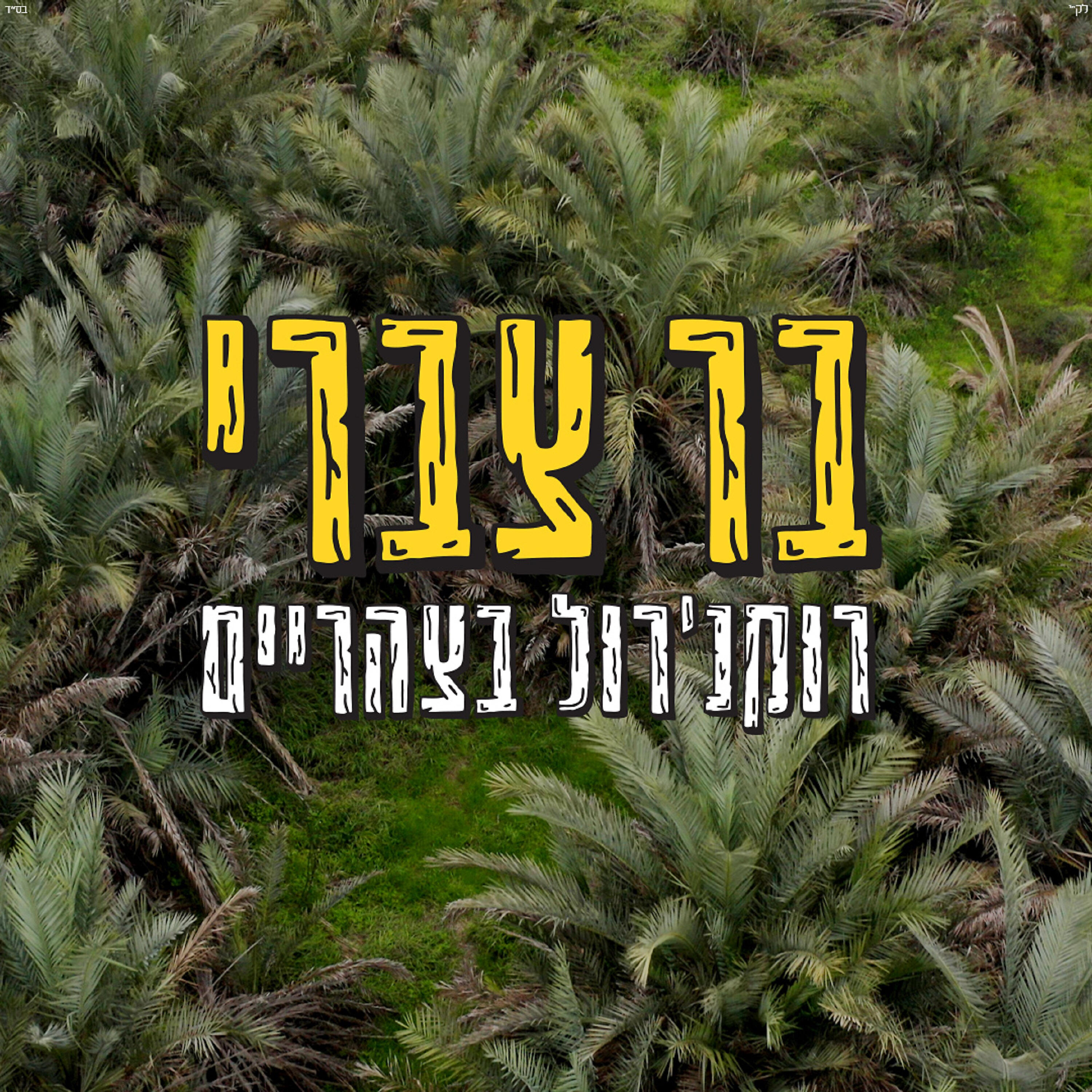 Релиз רוקנ'רול בצהריים