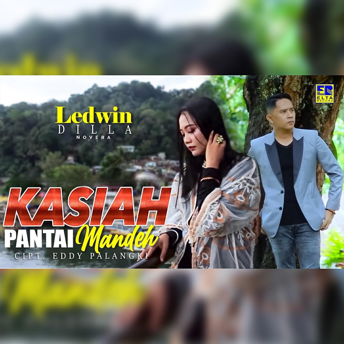 Ledwin