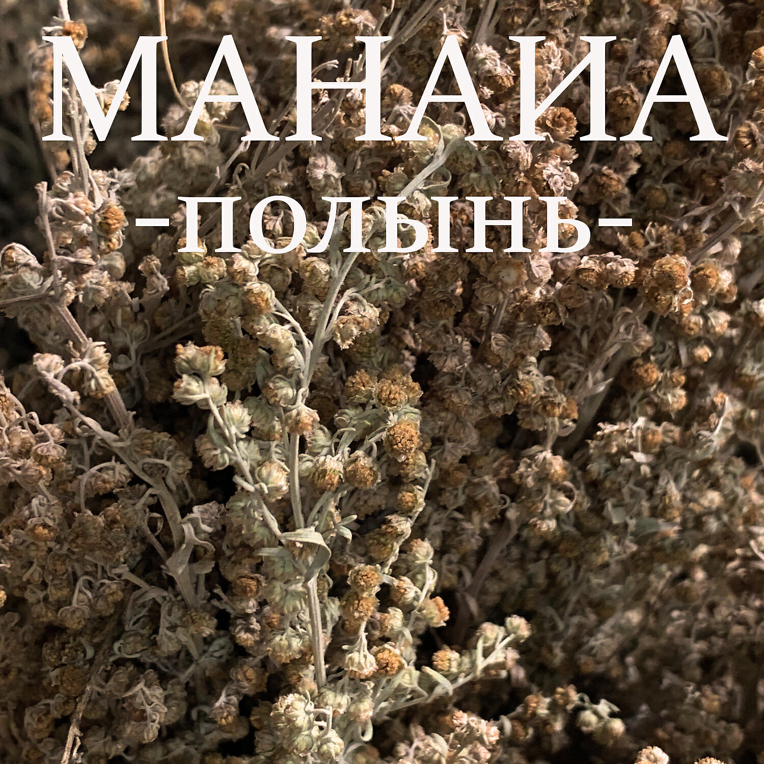 Релиз Полынь