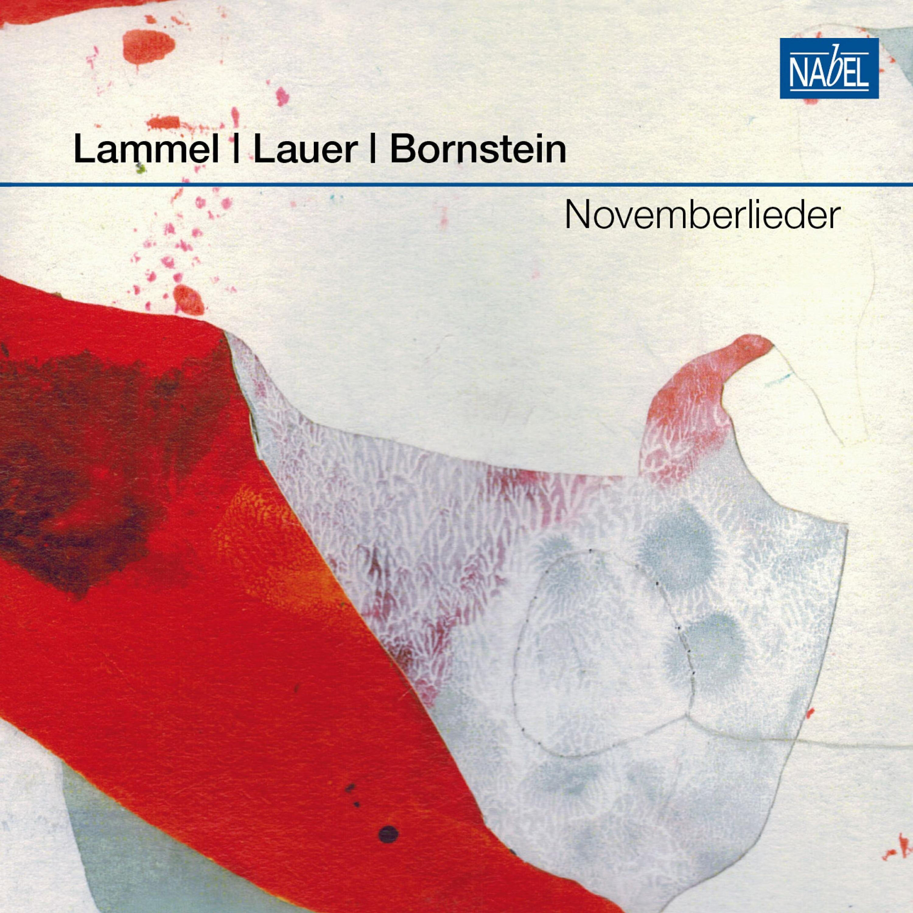 Постер альбома Novemberlieder