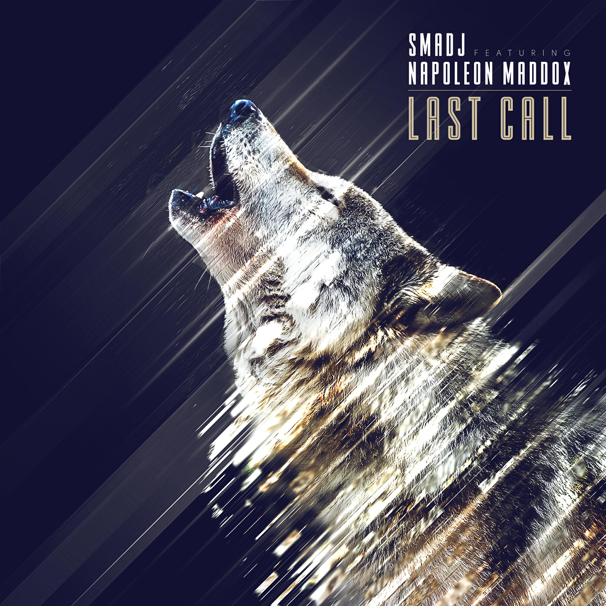 Релиз Last Call