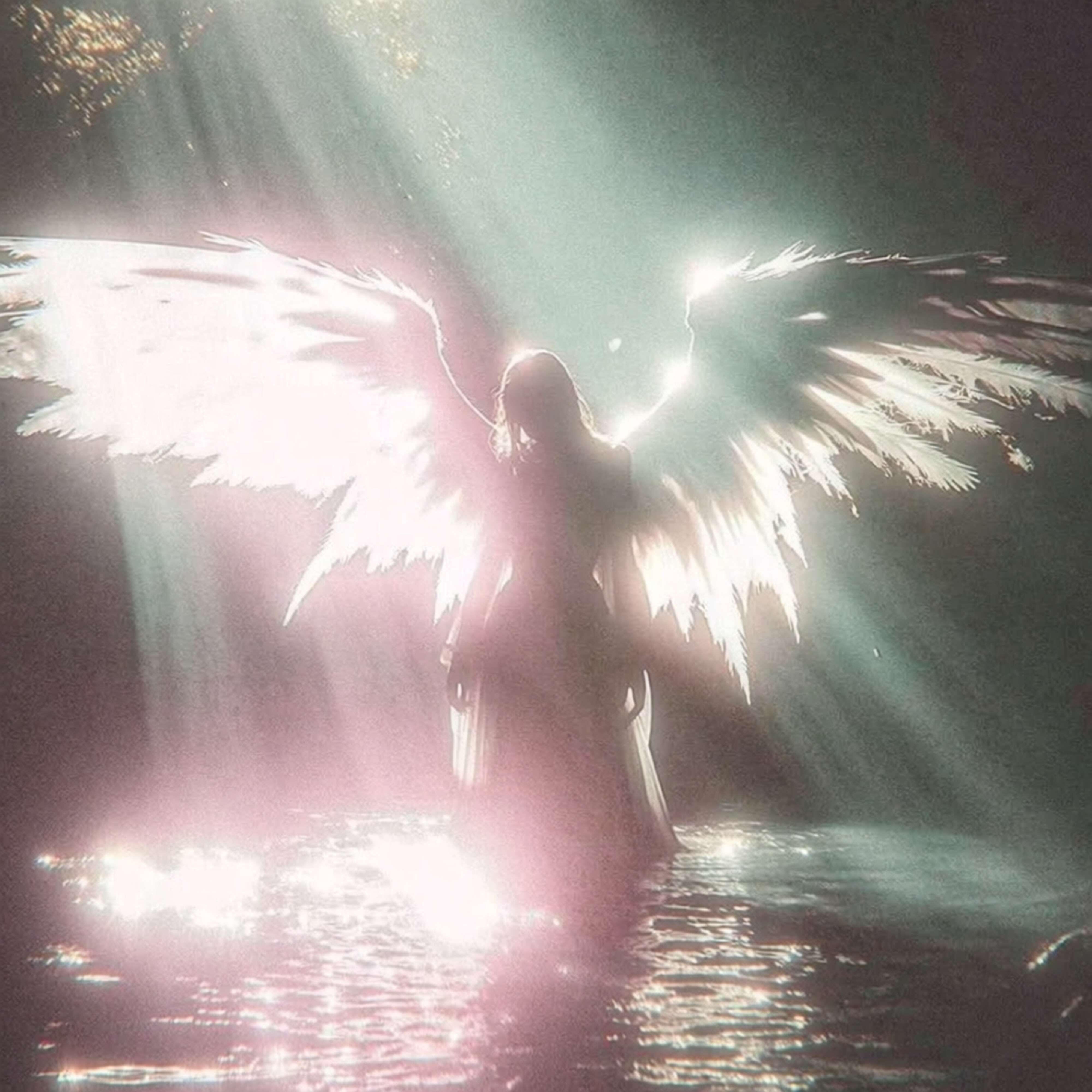 Релиз fallen angel