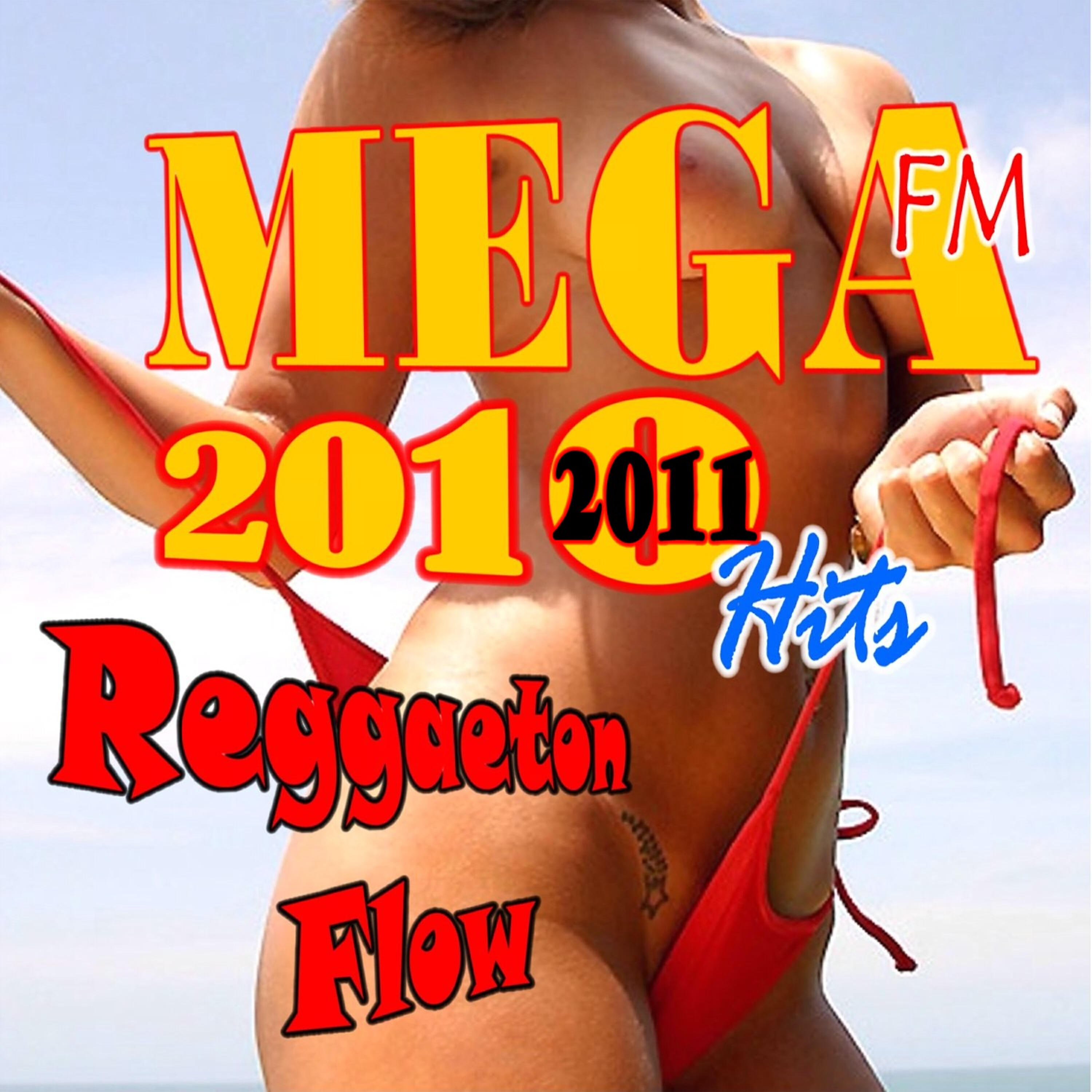 Релиз Reggaeton Flow 2010 - 2011 Hits