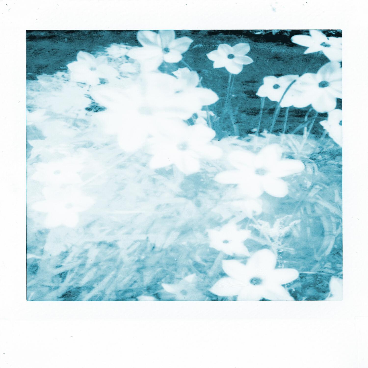 Релиз Nameless
