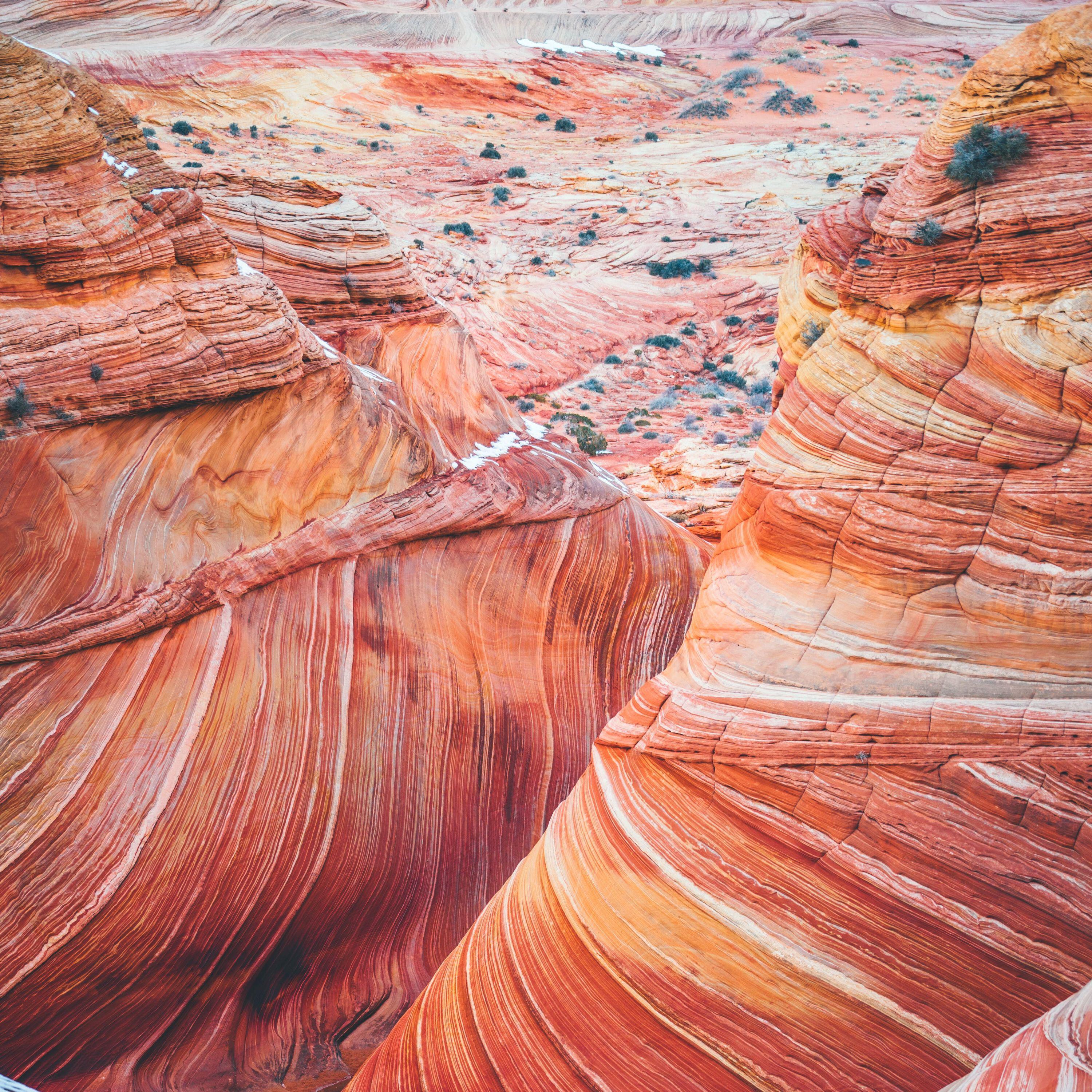Релиз Natural Sounds for a Relaxing Life