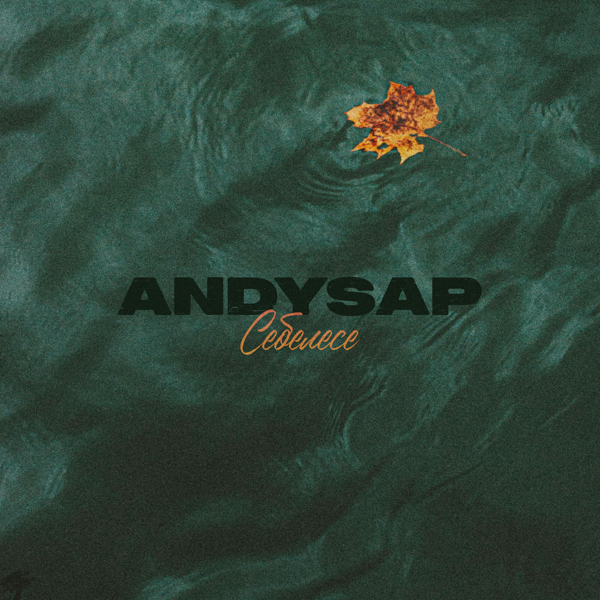 Andysap