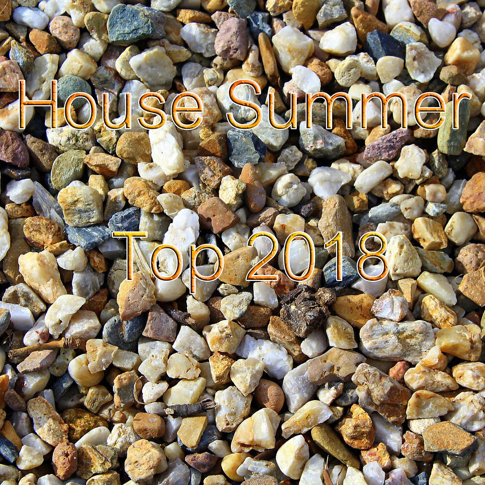Релиз House Summer Top 2018