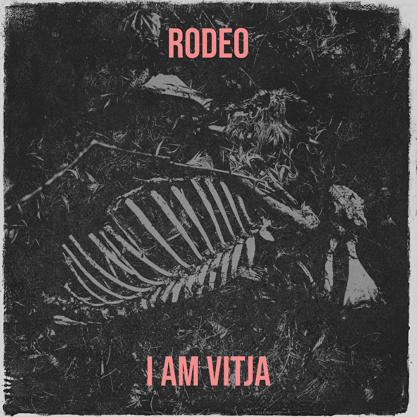 Релиз Rodeo