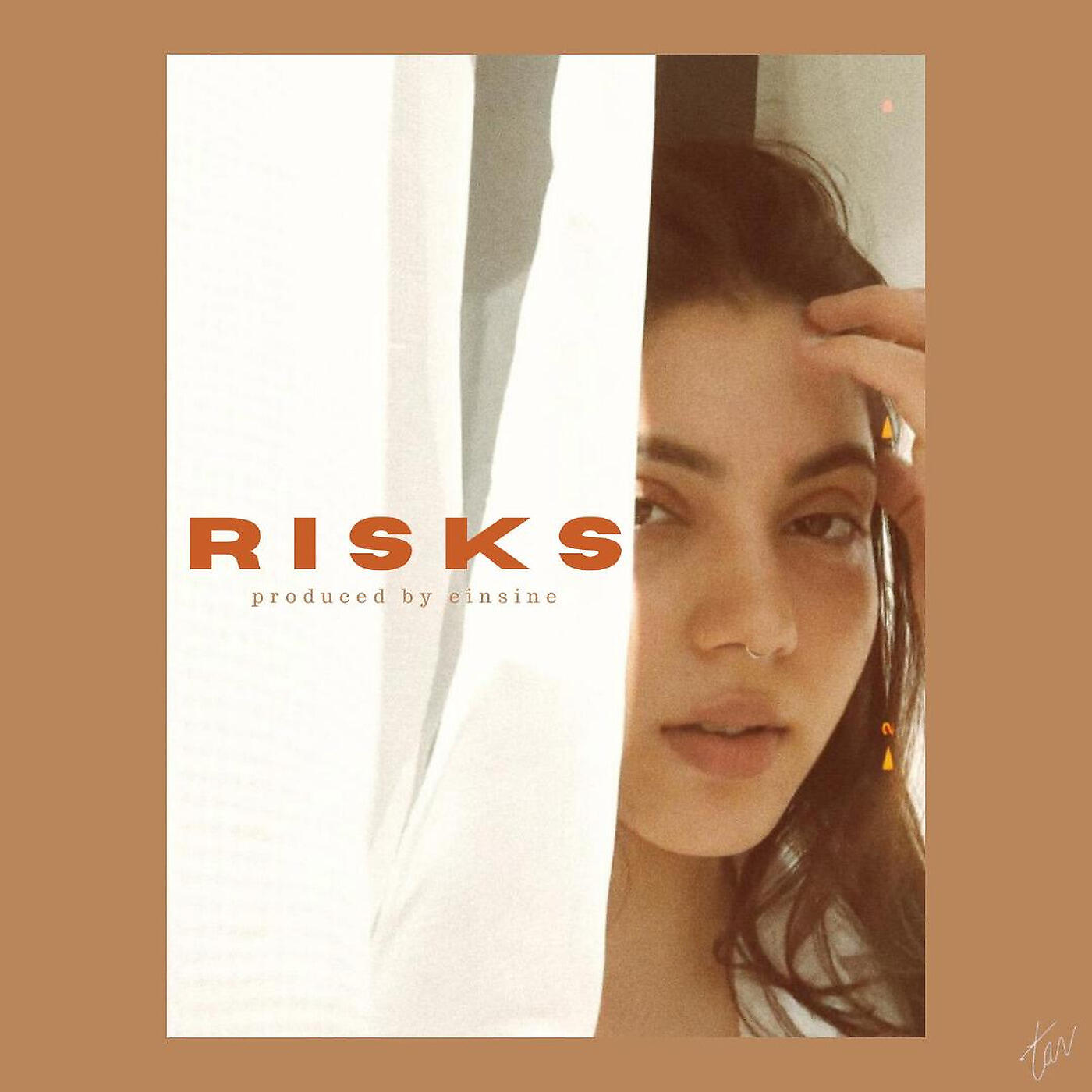 Релиз Risks