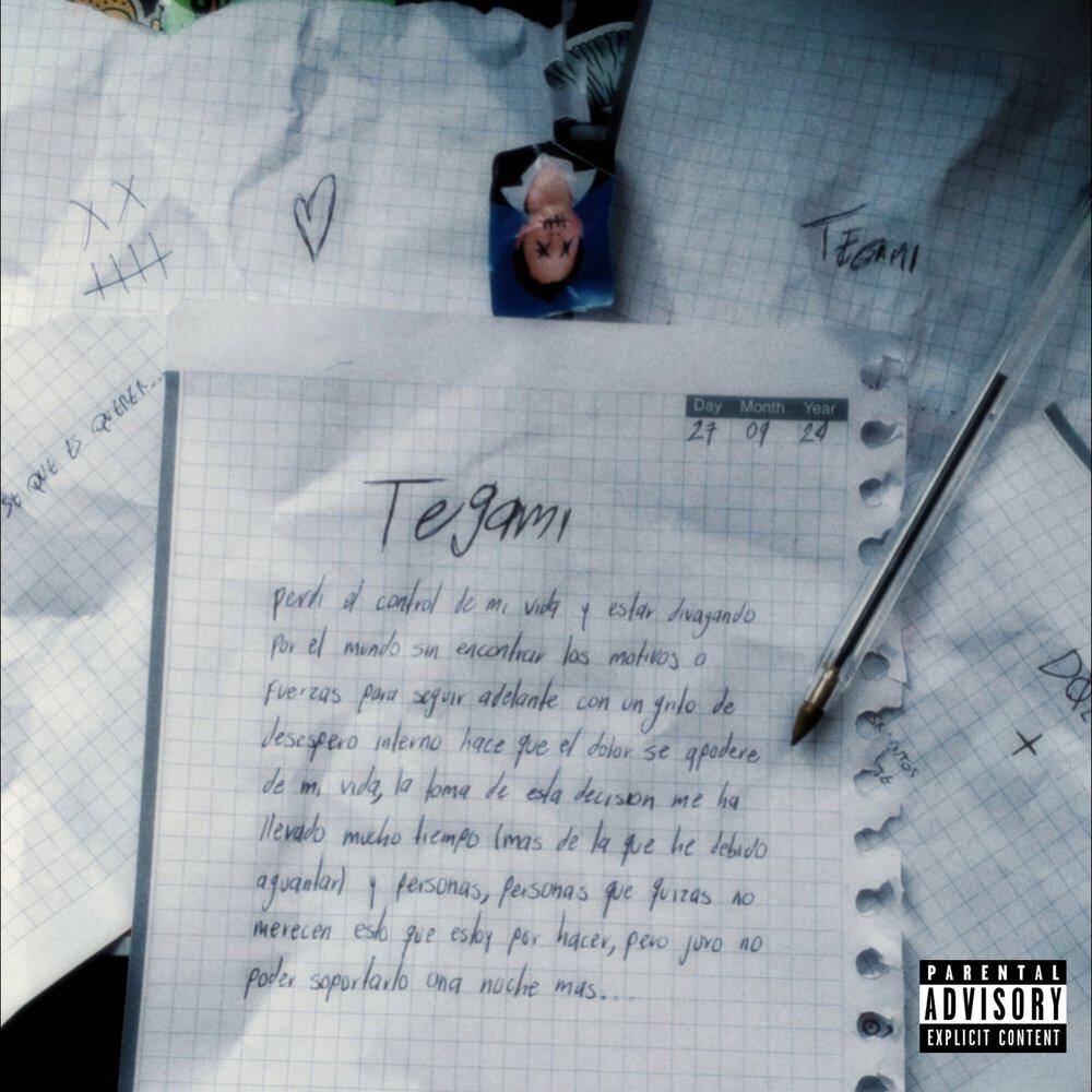 Релиз Tegami