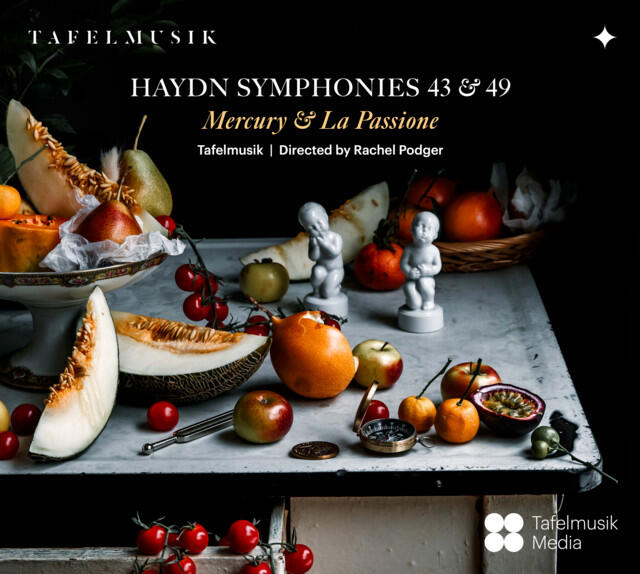 Релиз Symphony No. 49 in F Minor, Hob. I:49 "La passione": IV. Finale. Presto
